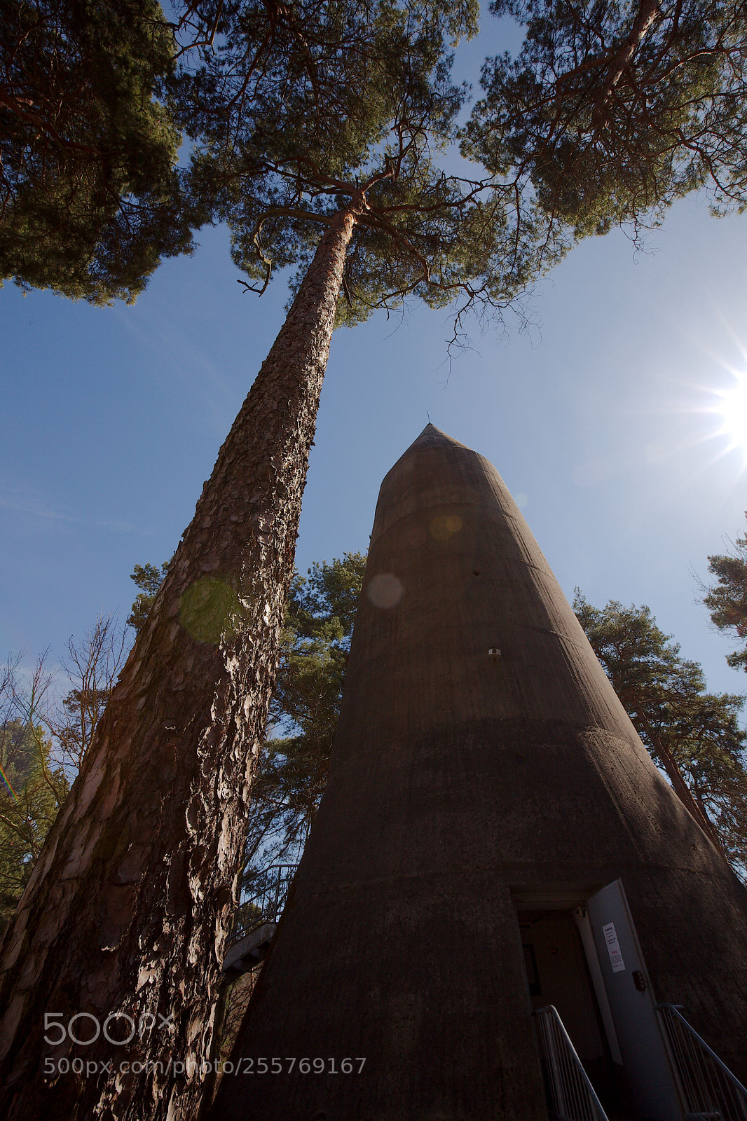 Canon EOS 5D Mark II sample photo. Tree and pointed hopper photography