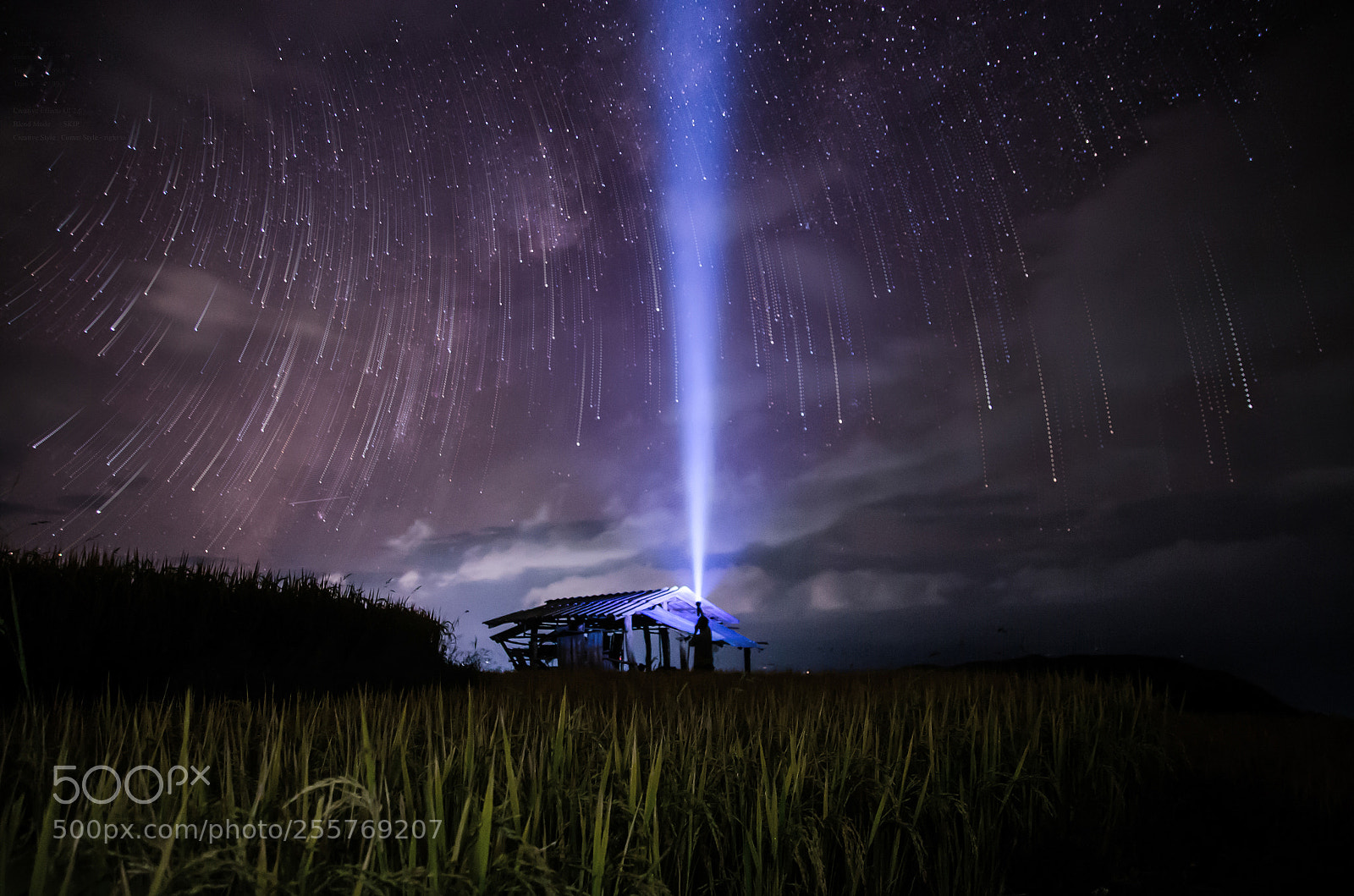 Nikon D7000 sample photo. Star trails photography