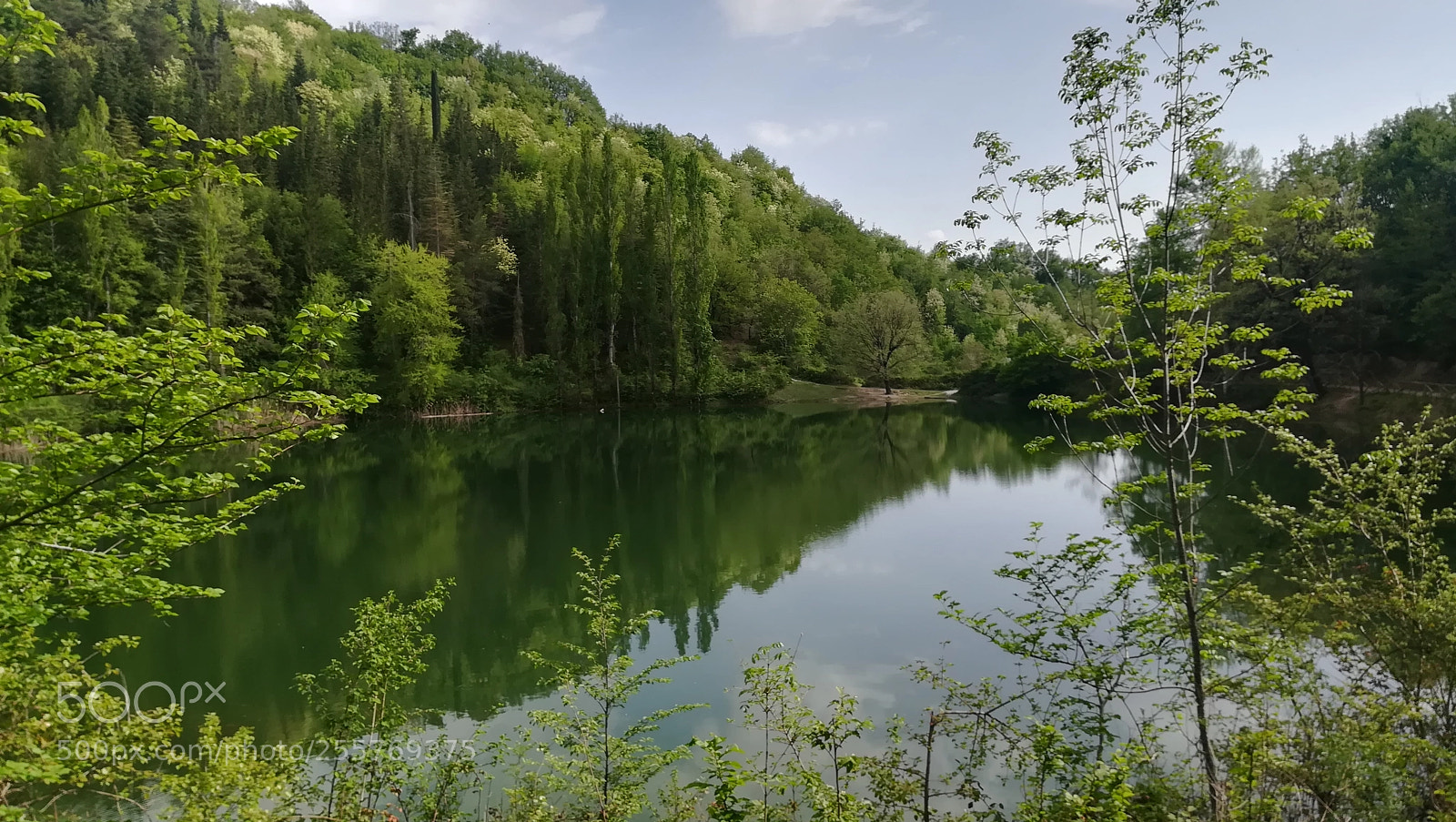 HUAWEI PRA-LX1 sample photo. Lagustelli di percile photography