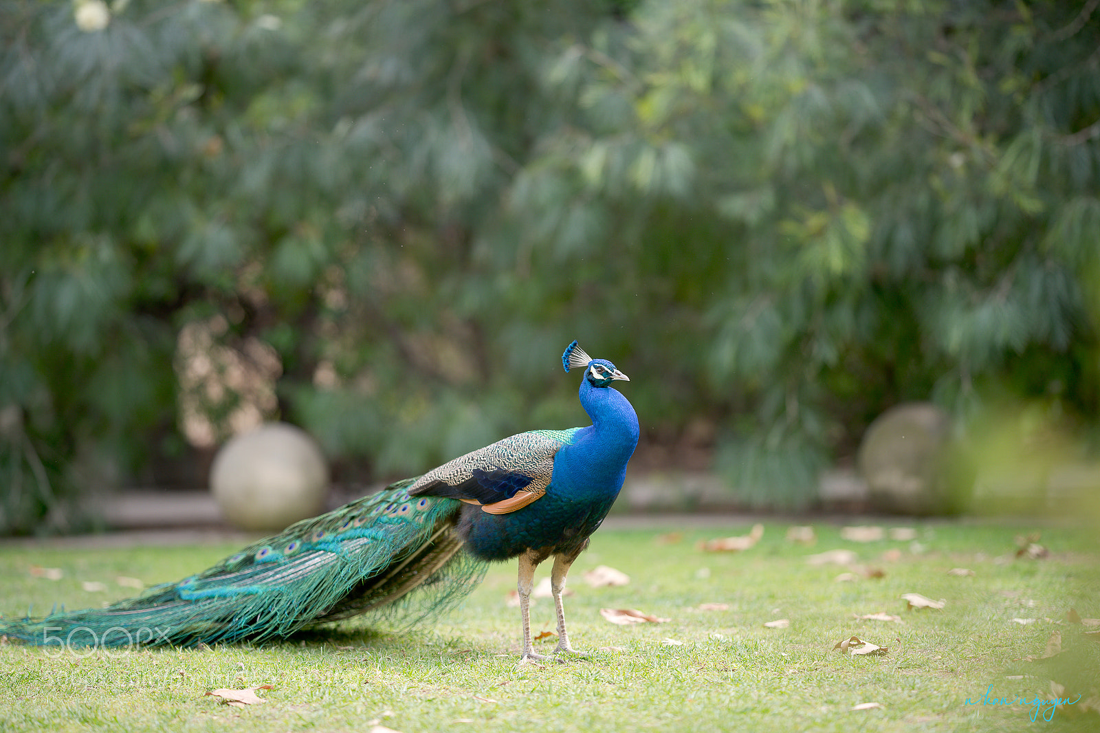 Nikon D850 sample photo. Untitled photography