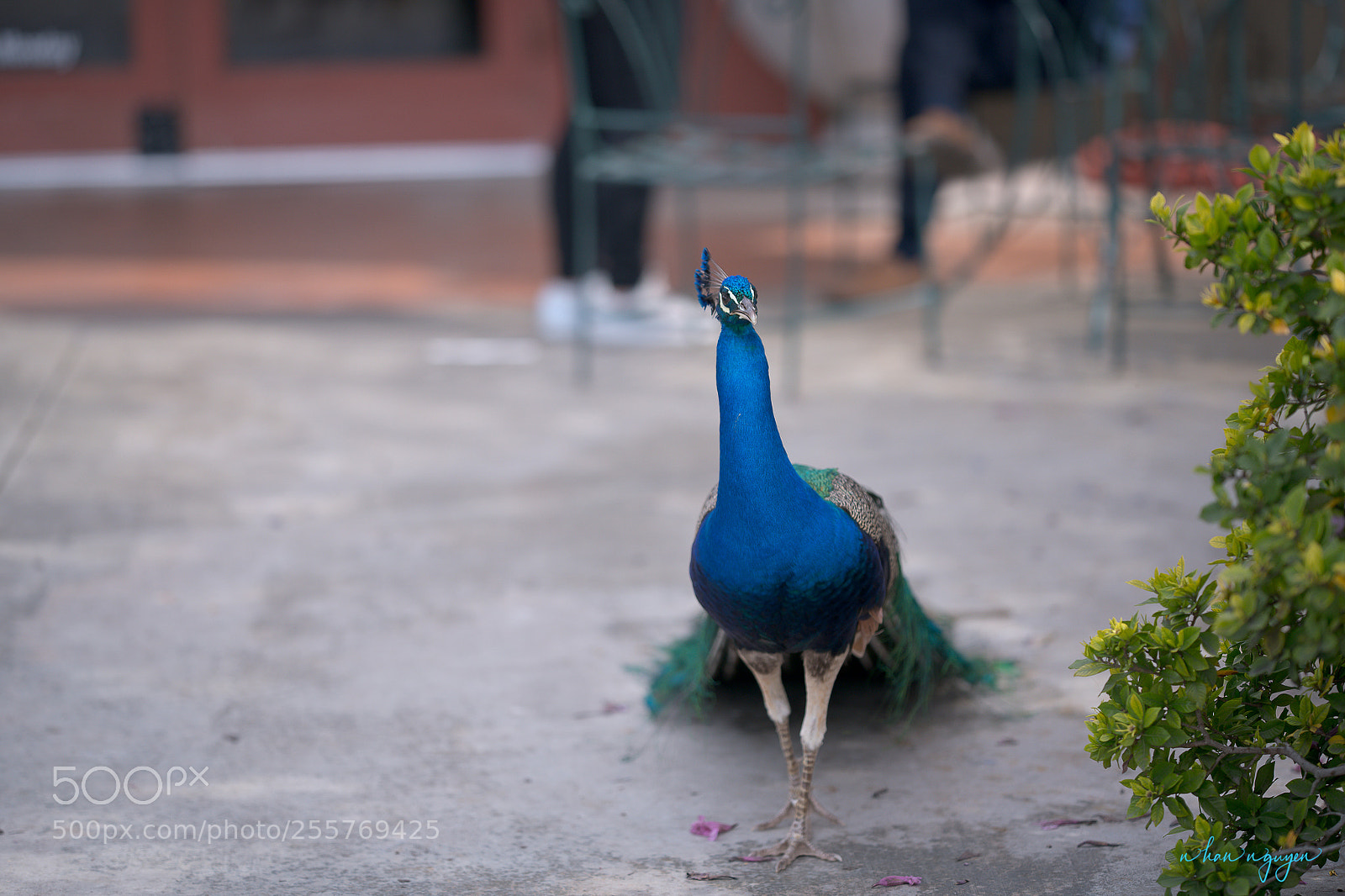 Nikon D850 sample photo. Untitled photography