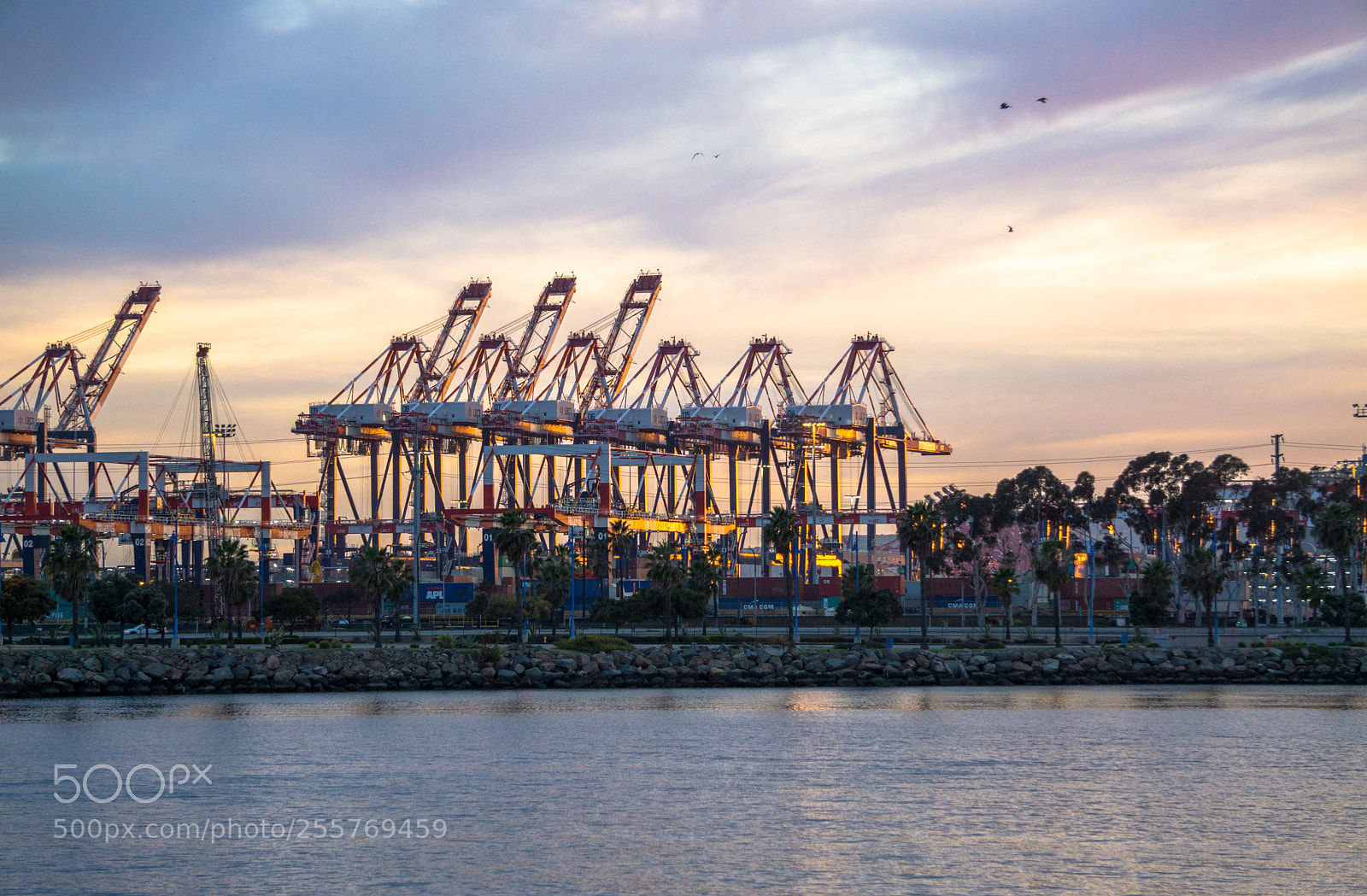 Sony a6000 sample photo. Industry in pastel photography