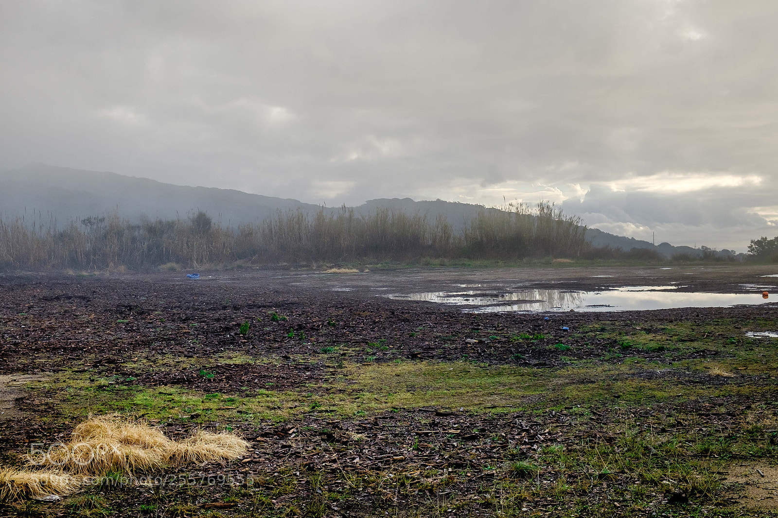 Fujifilm X-T10 sample photo. _dsf0022-2.jpg photography