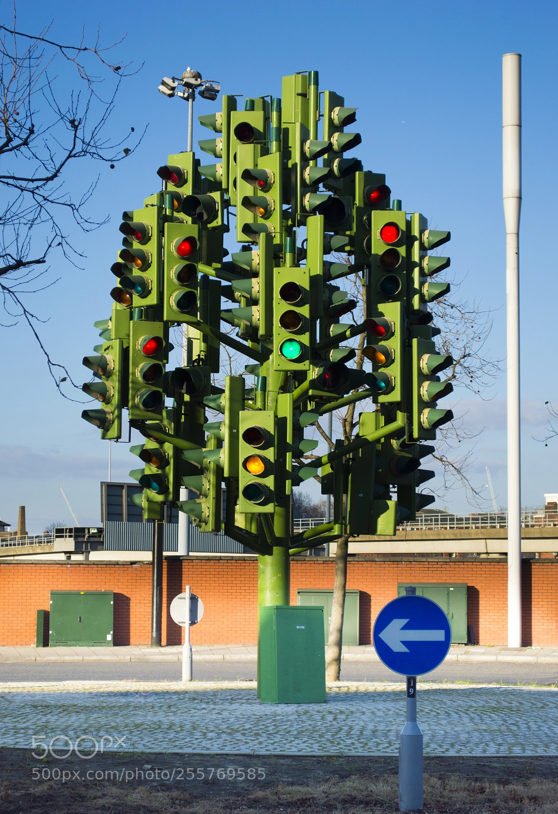 Nikon D3200 sample photo. Confused signals photography