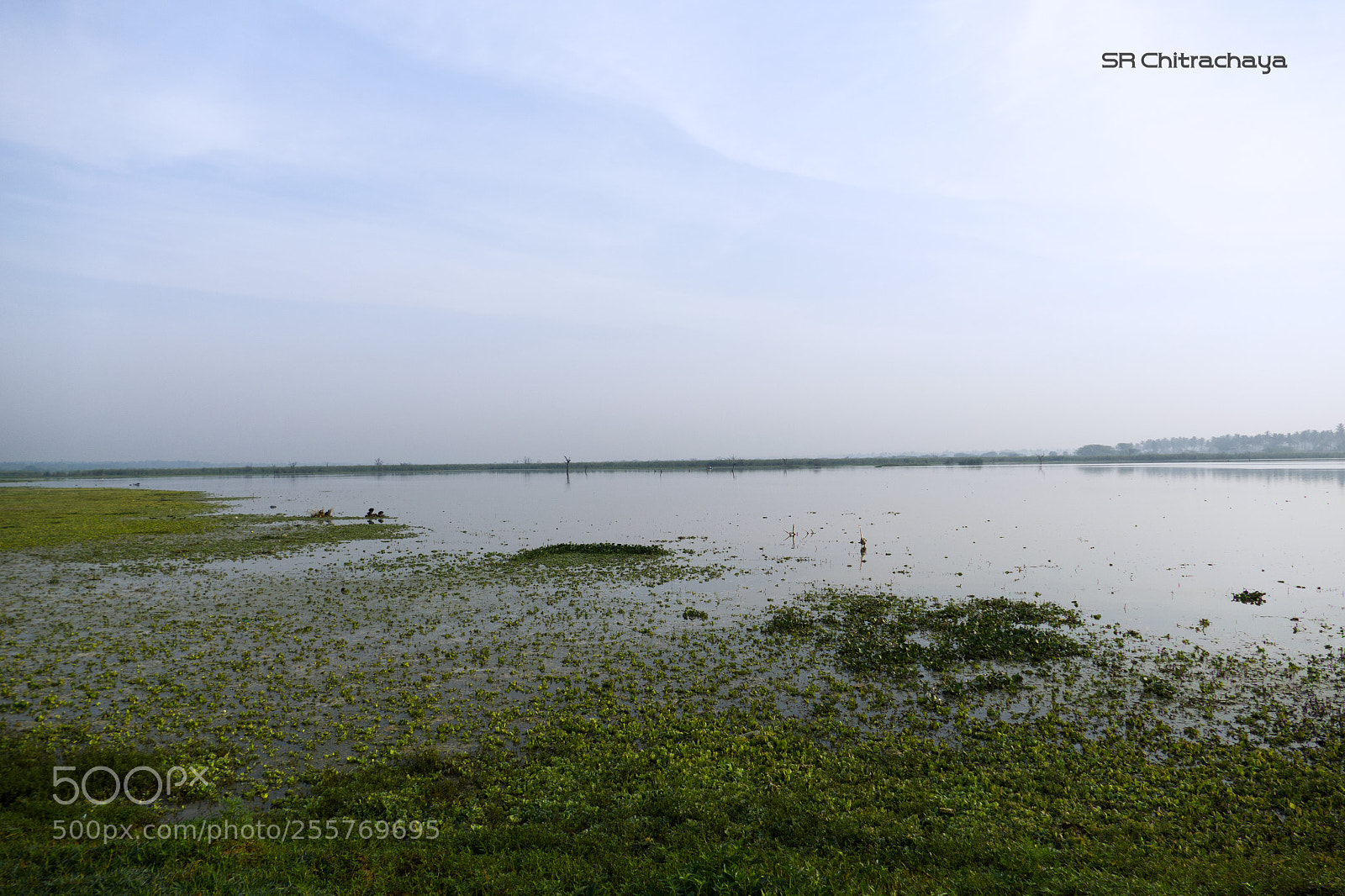 Panasonic Lumix DMC-FZ1000 sample photo. Hoskote lake photography