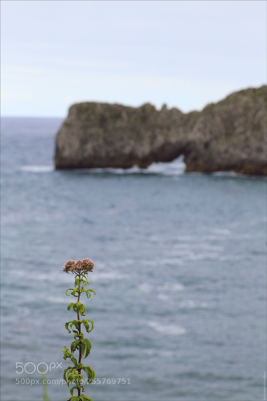 Canon EOS 6D sample photo. 2014_prellezo_coastline 01 photography