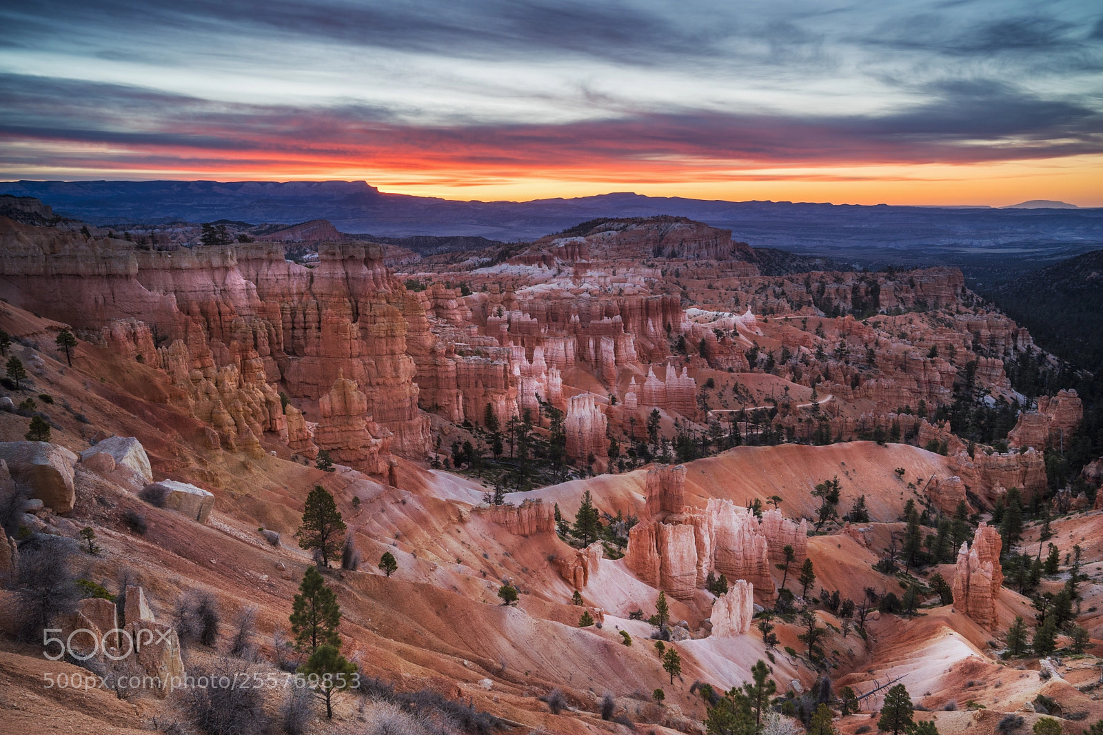 Sony a7 II sample photo. Bryce canyon photography