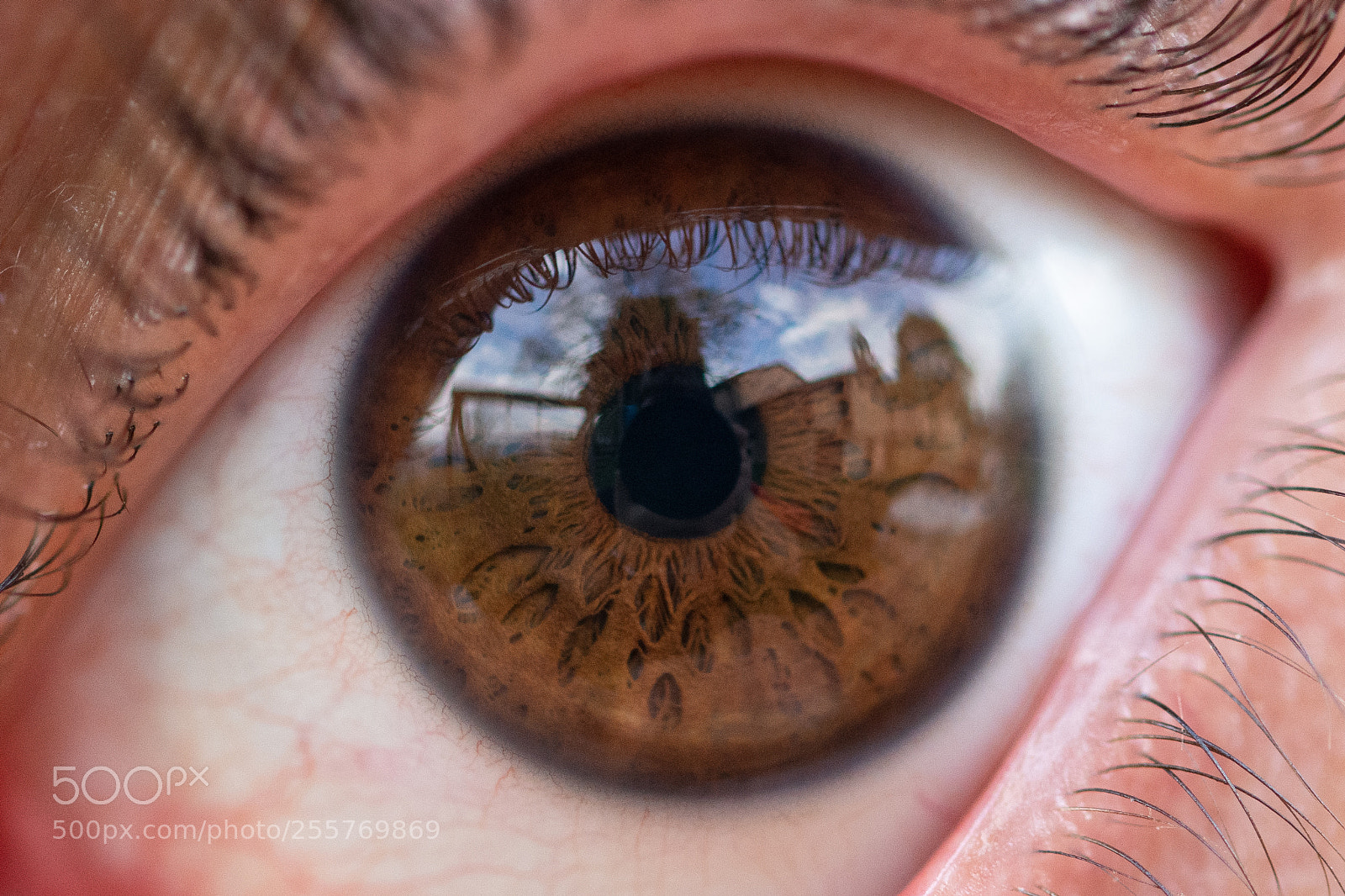 Nikon D7200 sample photo. Pantano in the eye photography