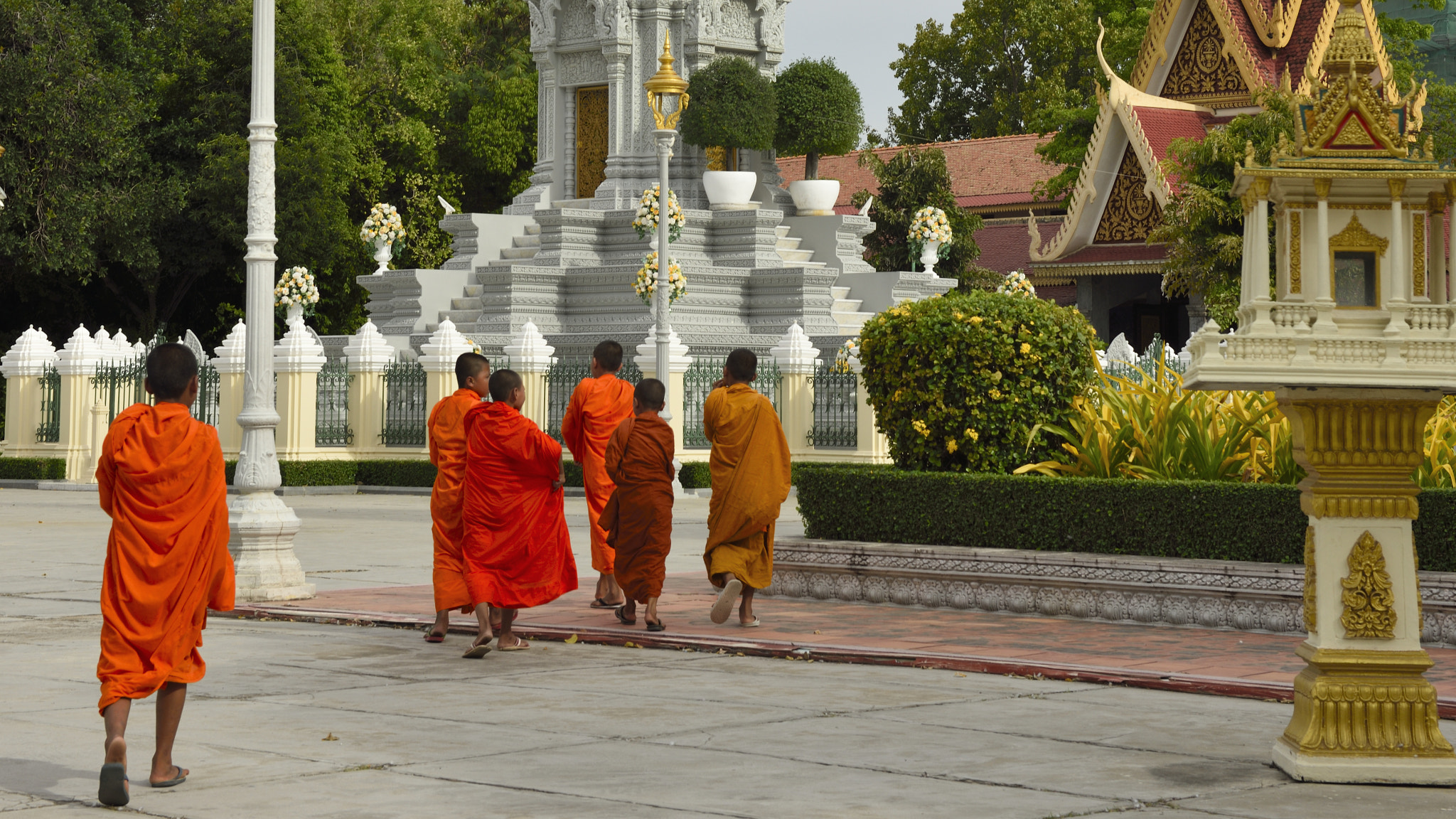 Nikon AF-S Nikkor 24-70mm F2.8G ED sample photo. Young monks in royal palace. phnom penh. photography