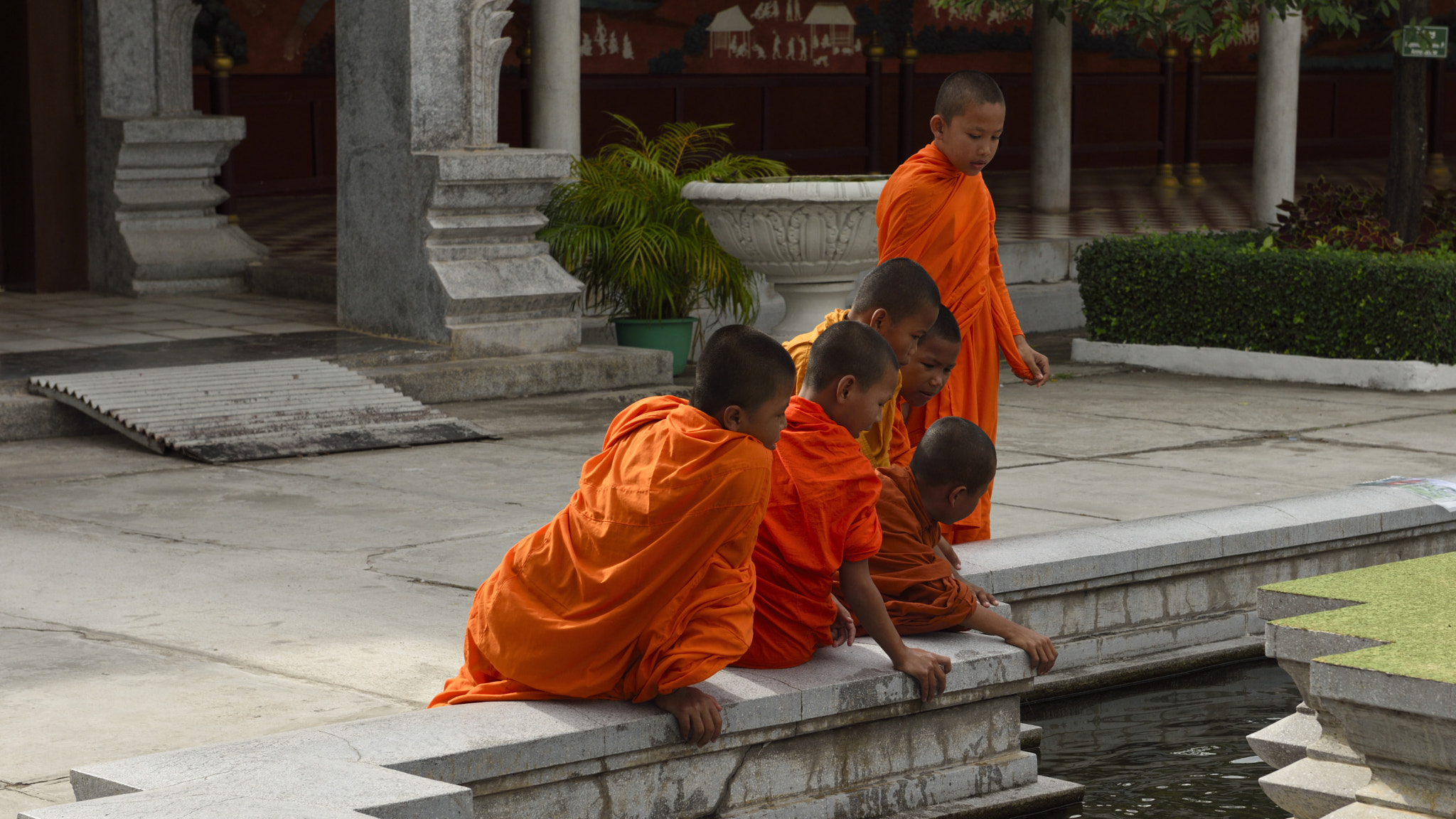 Nikon AF-S Nikkor 24-70mm F2.8G ED sample photo. Young monks in royal palace.  phnom penh photography