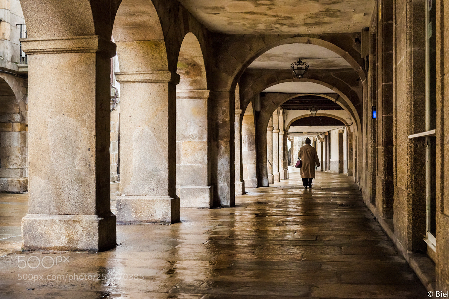 Nikon D610 sample photo. Under protection photography