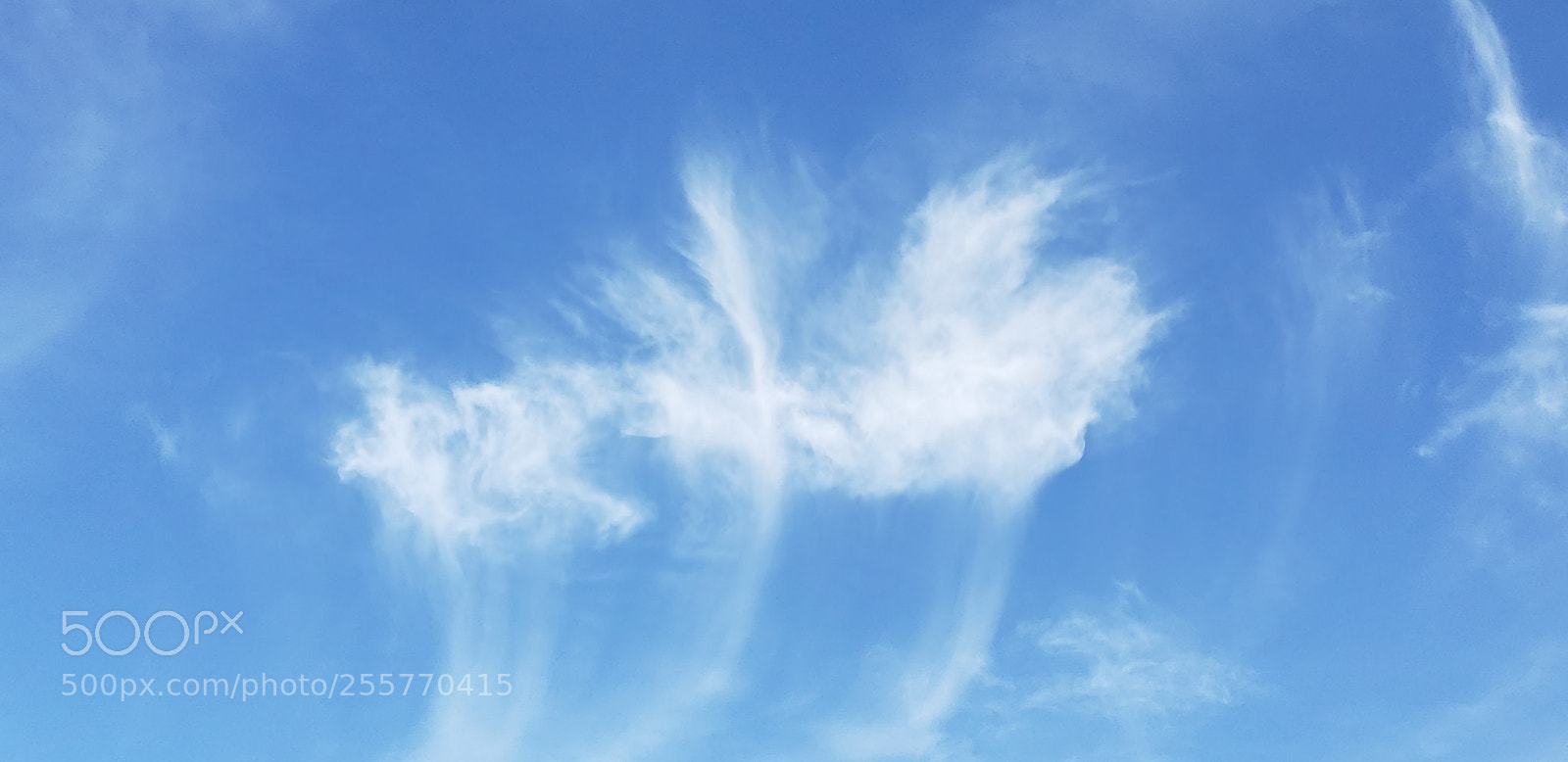 Samsung Galaxy S9+ sample photo. Clouds photography