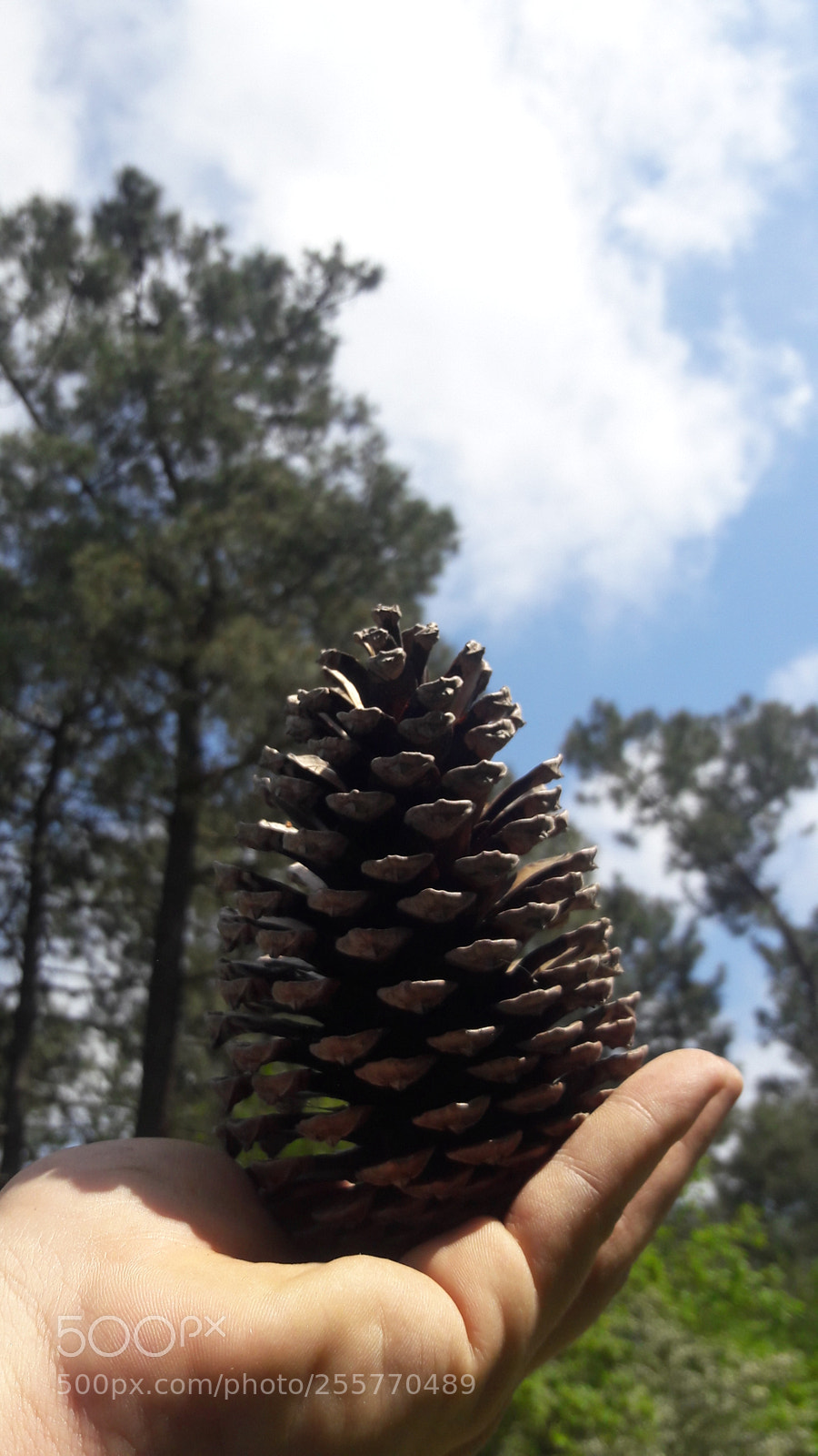 Samsung Galaxy J7 sample photo. Untitled photography