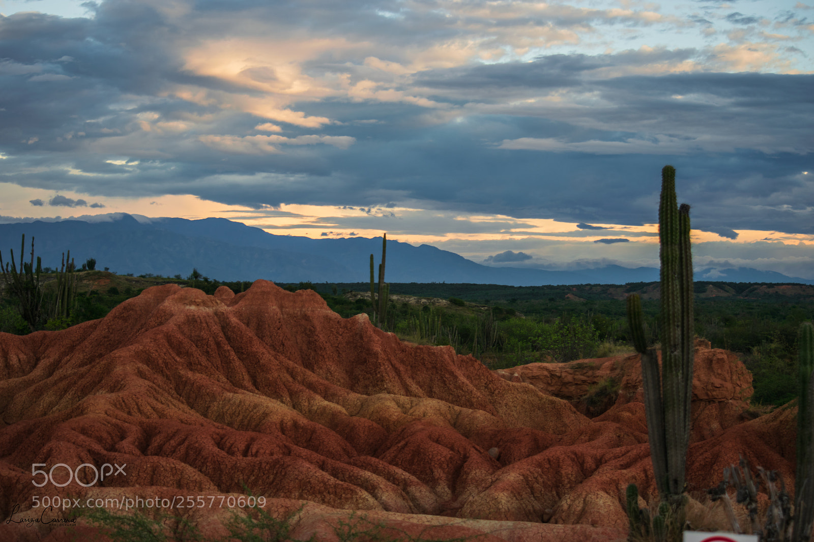 Nikon D3300 sample photo. Tatacoa al amanecer photography