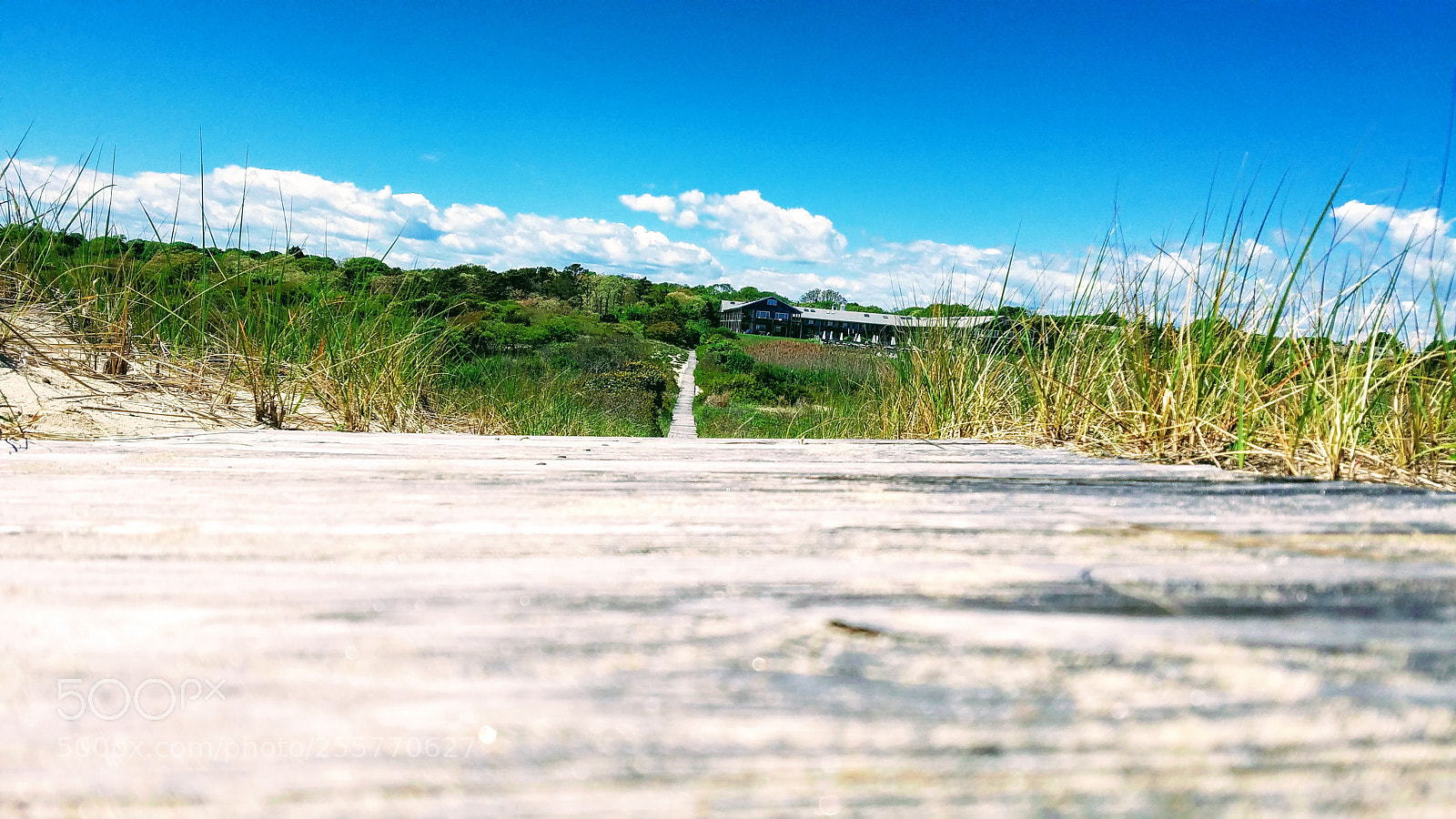 Samsung Galaxy S7 Edge sample photo. Hamptons boardwalk photography