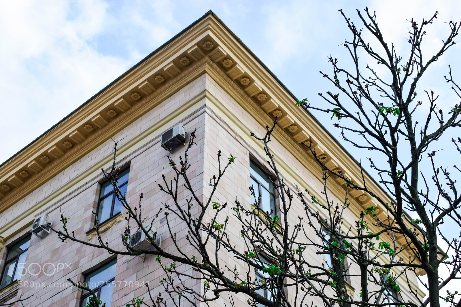 Nikon D5300 sample photo. Spring in my mind) photography
