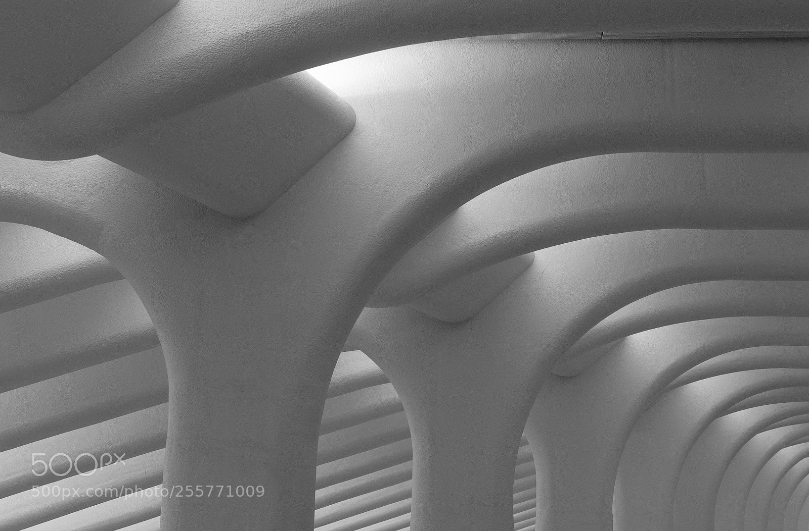 Nikon D90 sample photo. Endless oculus lines photography