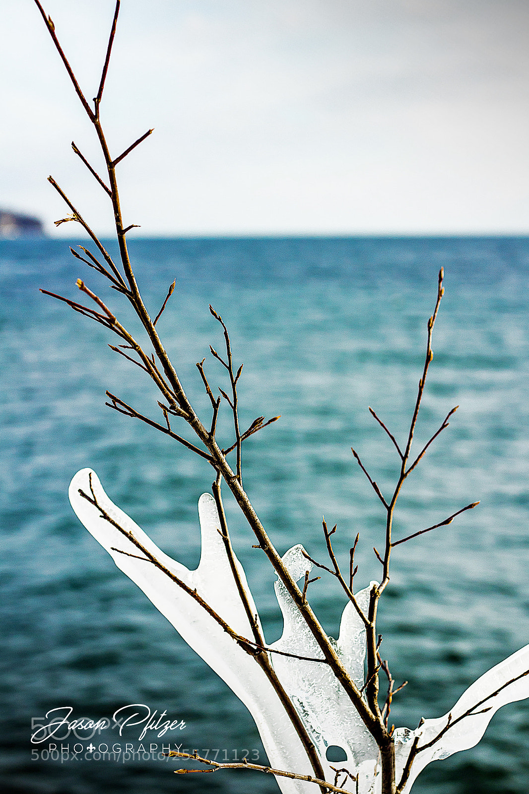 Canon EOS 1300D (EOS Rebel T6 / EOS Kiss X80) sample photo. Icy branches photography