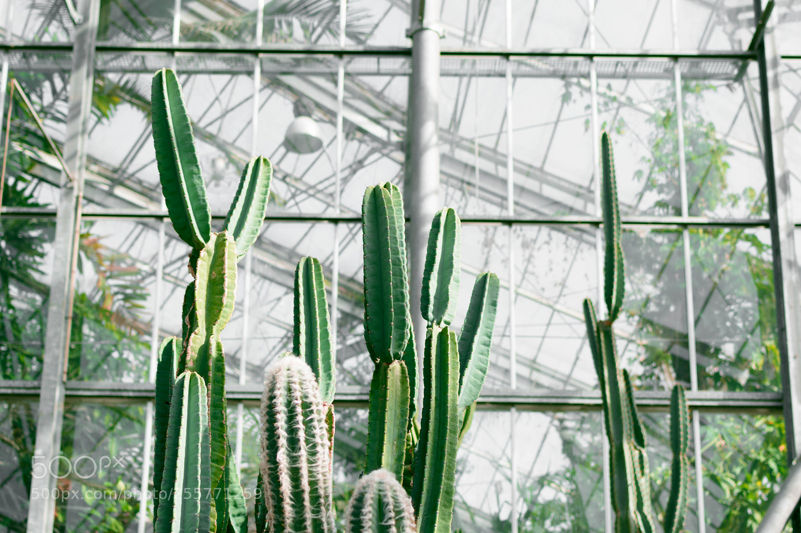 Nikon D3400 sample photo. Botanical garden of amsterdam photography