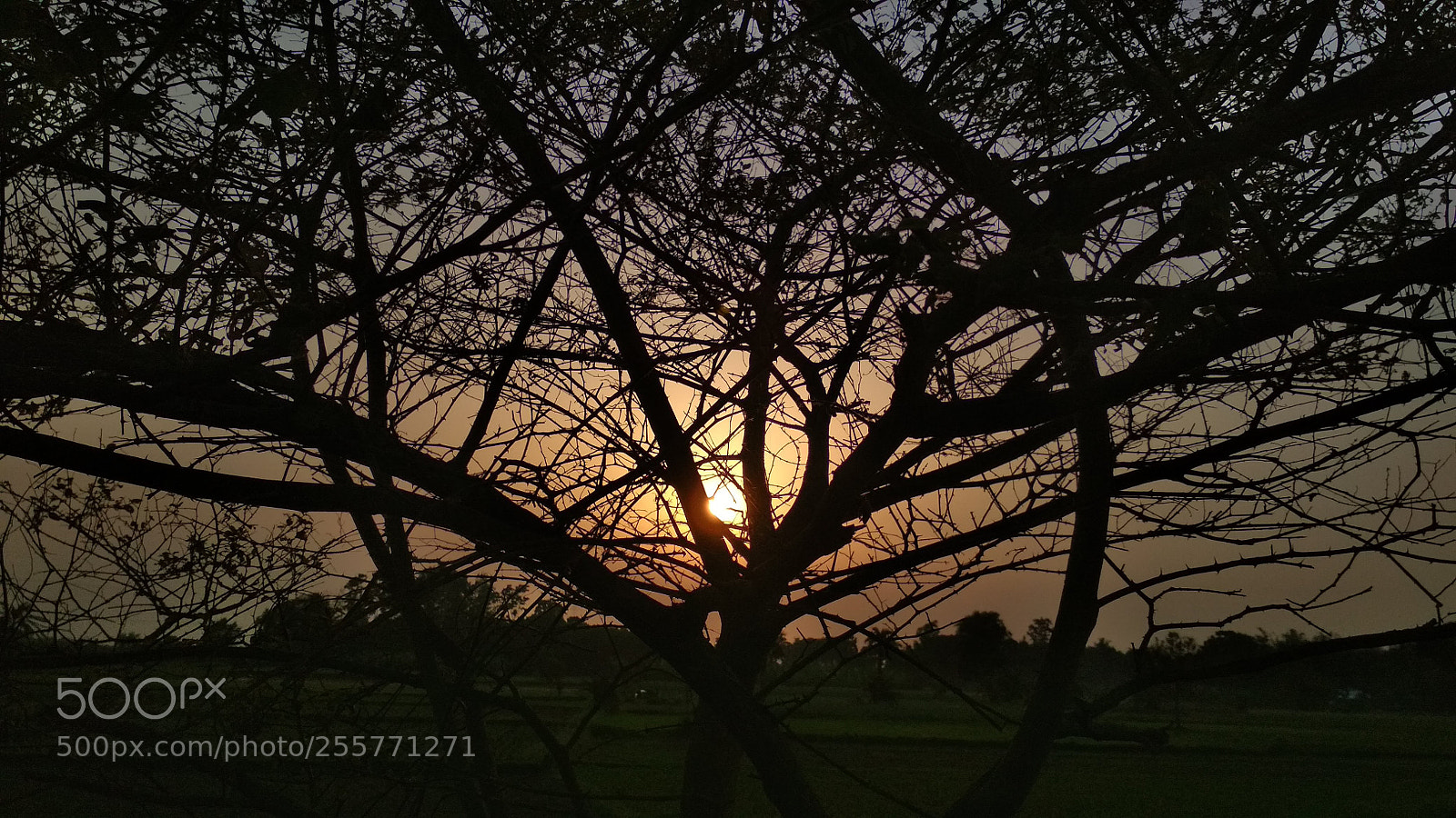 Xiaomi Redmi 4 Pro sample photo. Sun going down photography