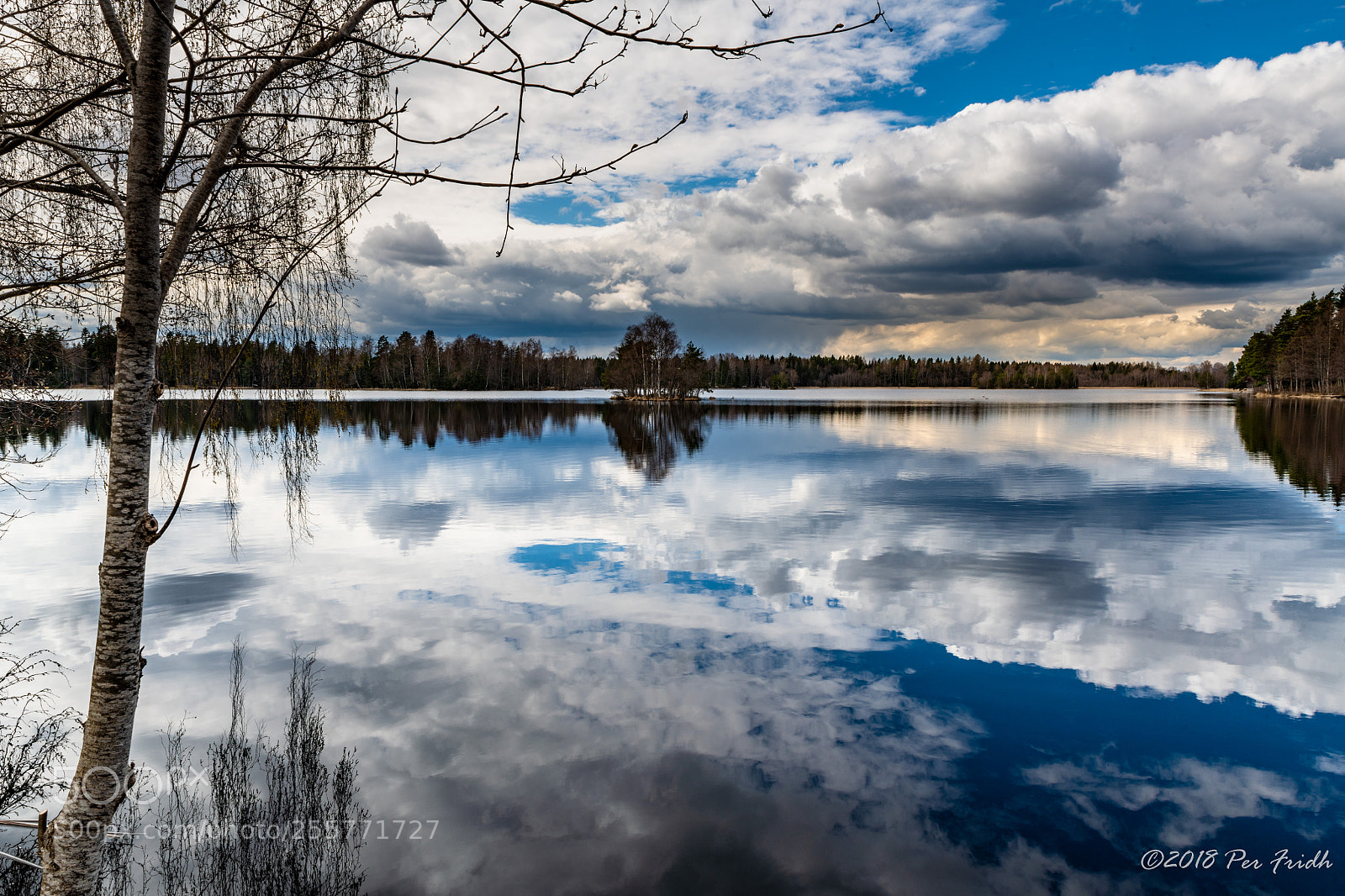 Nikon D850 sample photo. Reflections photography