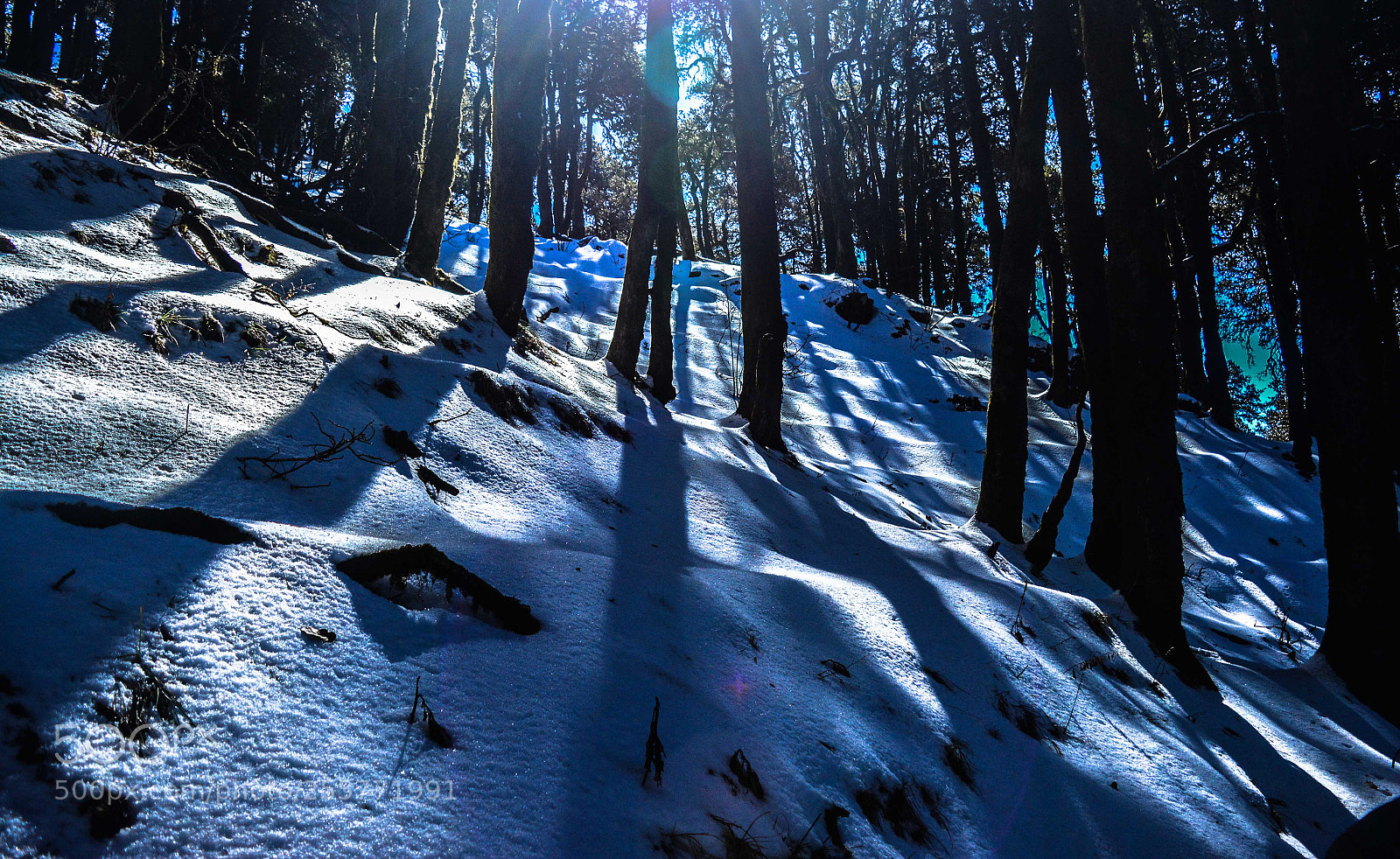 Nikon D5200 sample photo. C photography