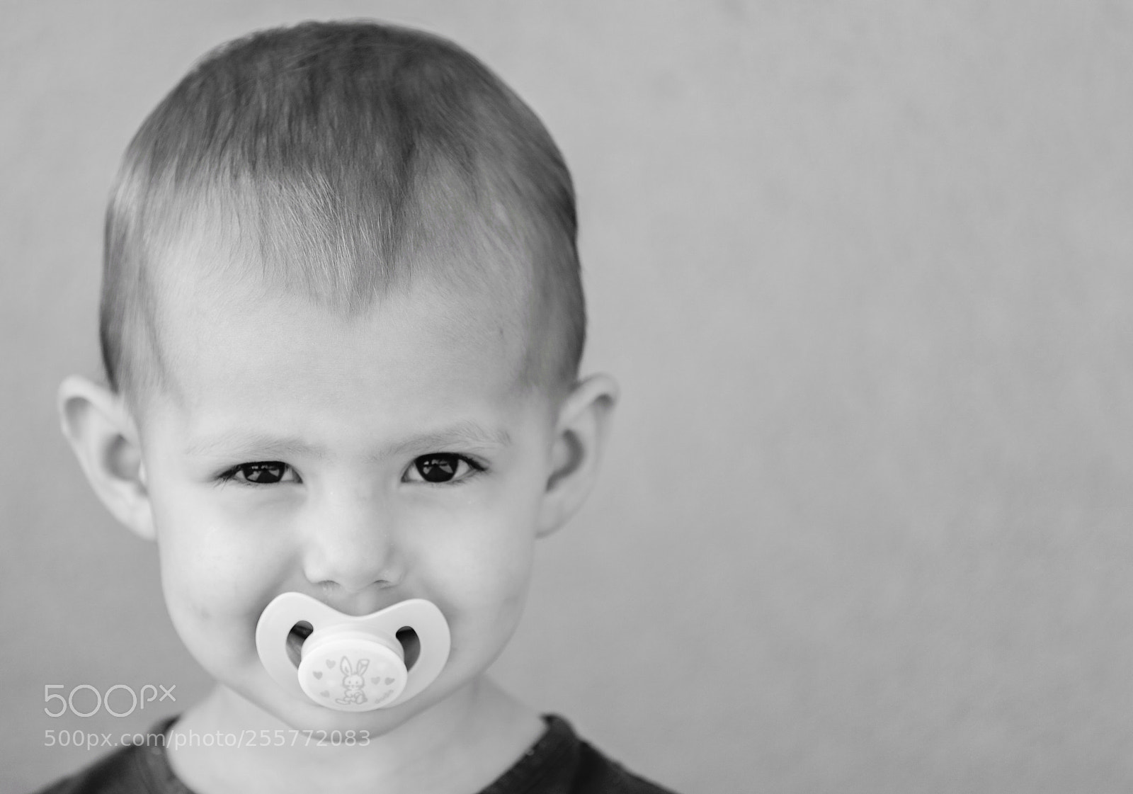 Canon EOS 6D Mark II sample photo. Wondering eyes photography