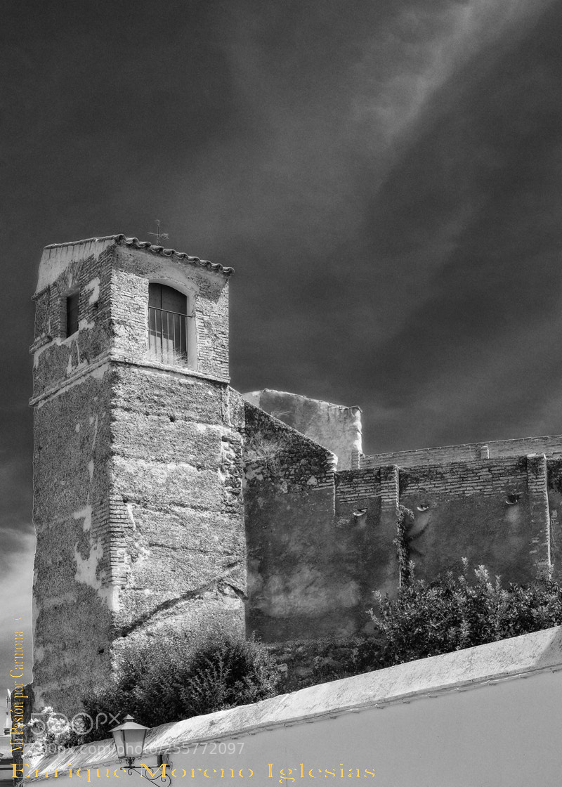 Nikon D610 sample photo. Barbacana. carmona (spain) photography