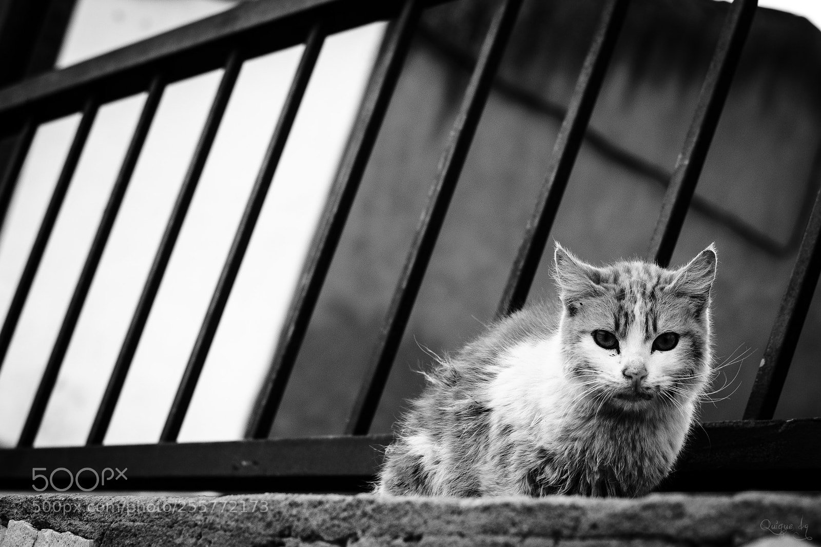 Nikon D7100 sample photo. Desmañao photography