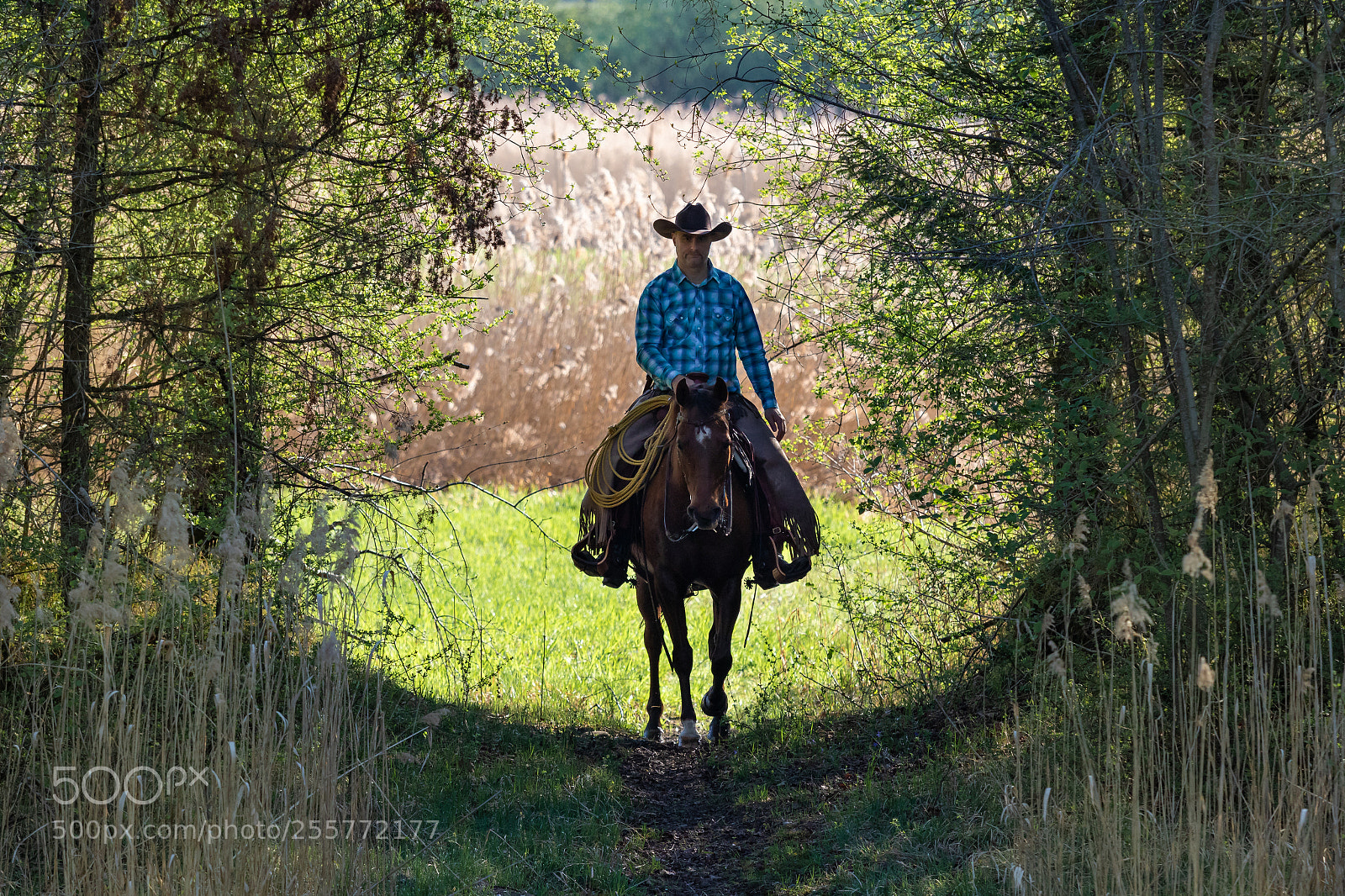 Canon EOS 7D Mark II sample photo. Cowboy commuting photography