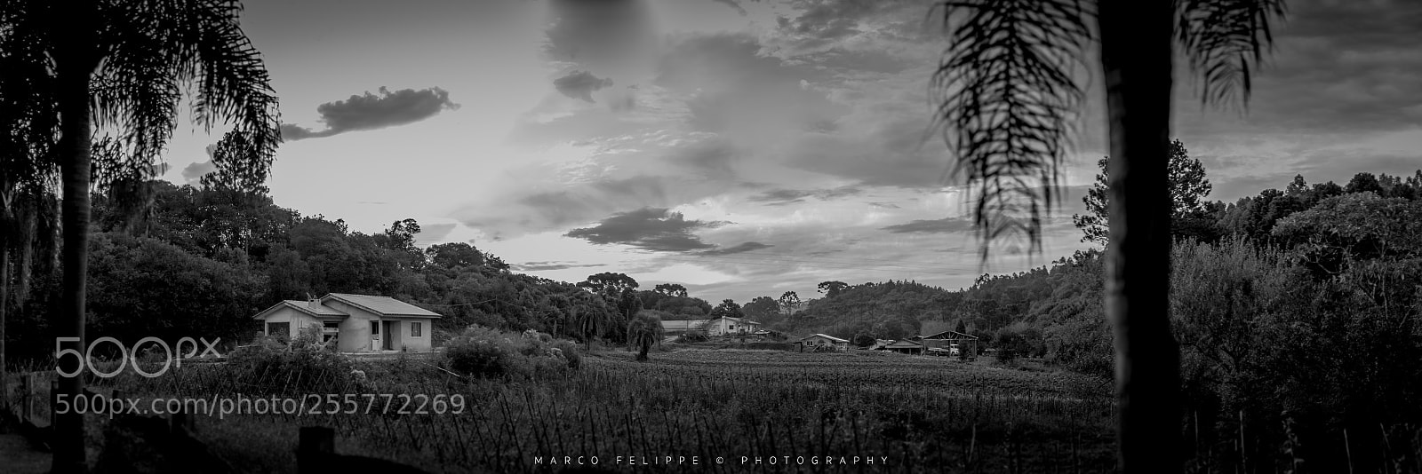 Sony a7S II sample photo. Noir #92 photography