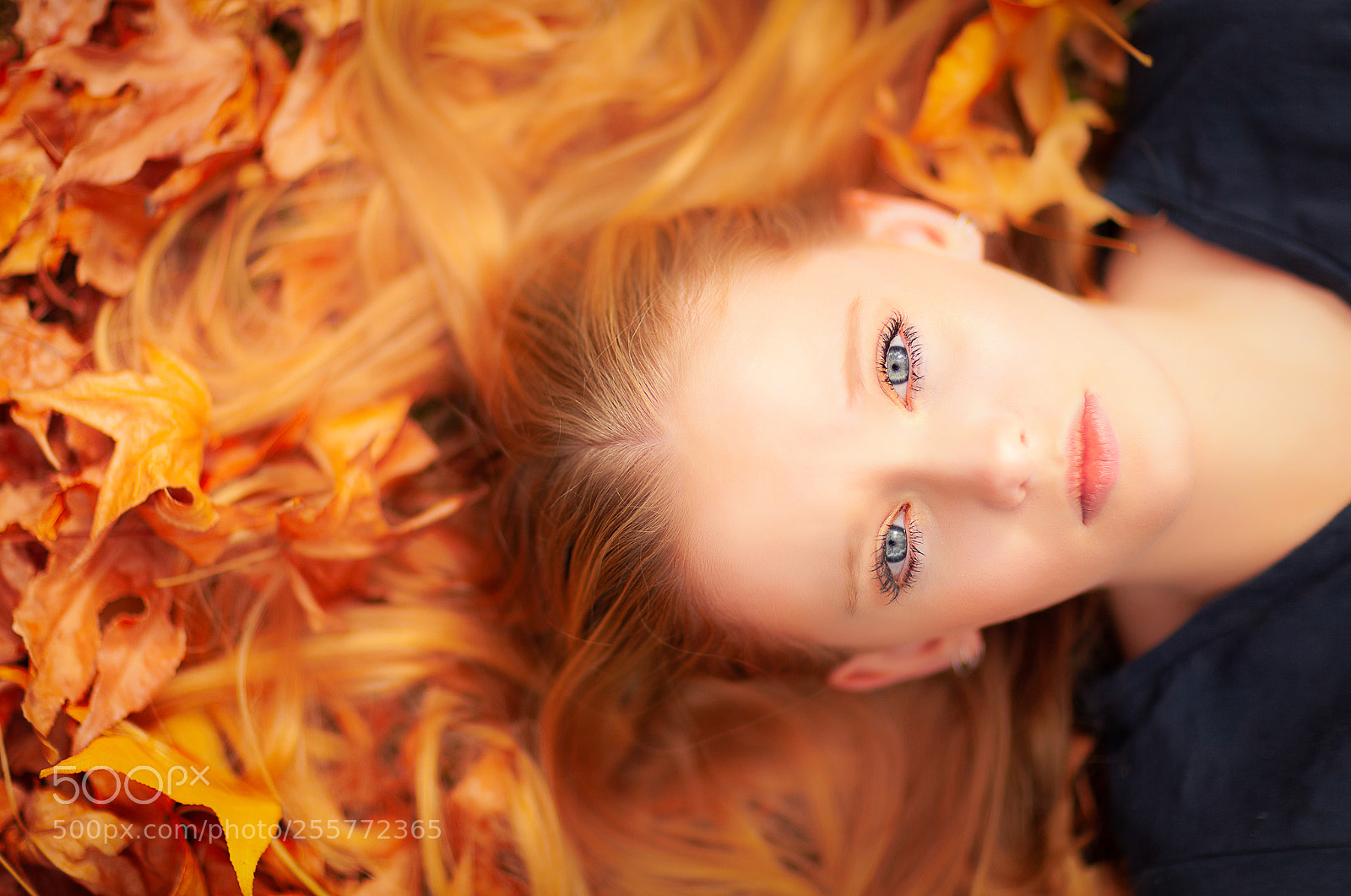 Canon EOS 5D Mark II sample photo. Autumn shoot with jordanna photography