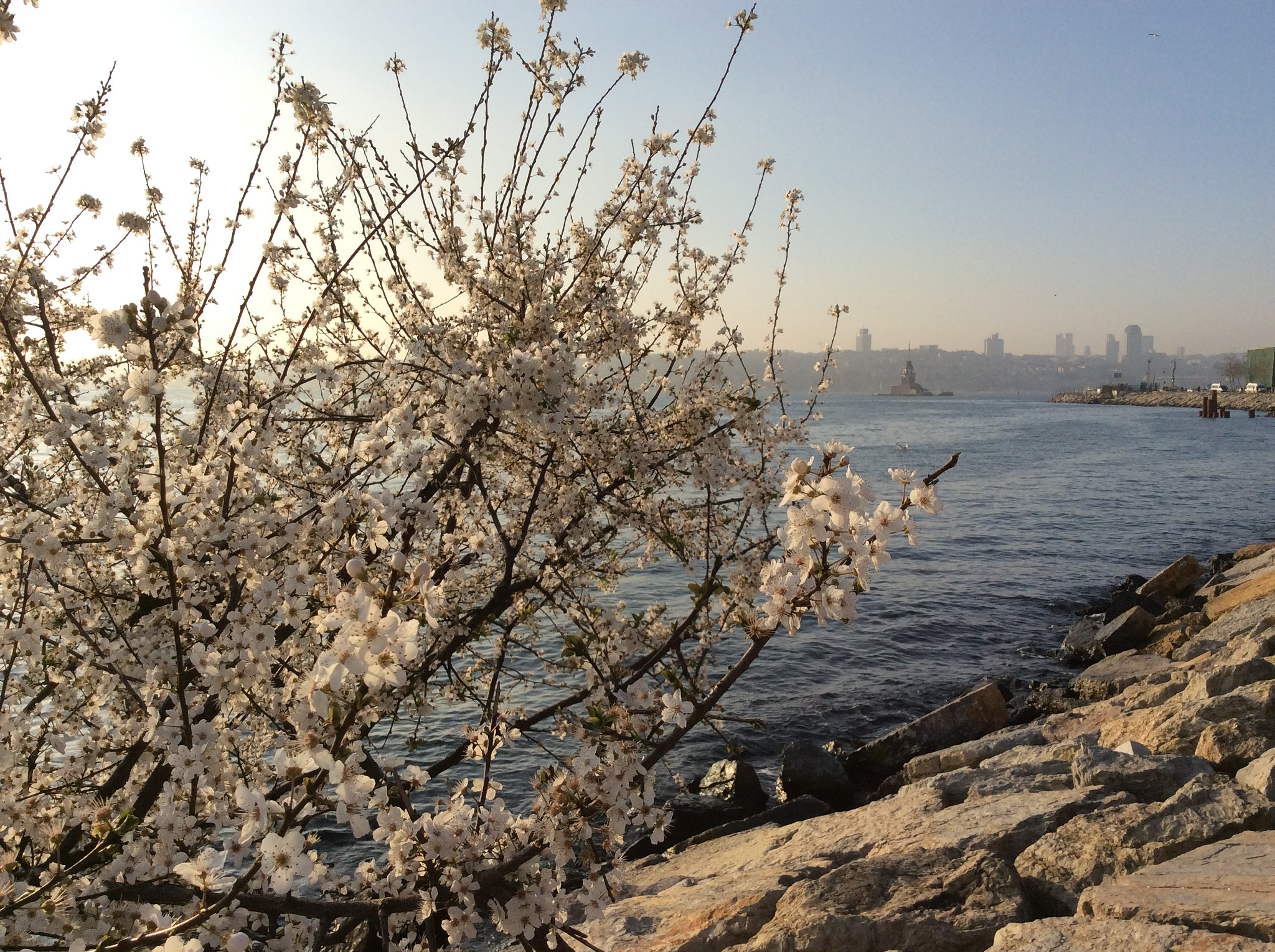 Apple iPad mini 2 sample photo