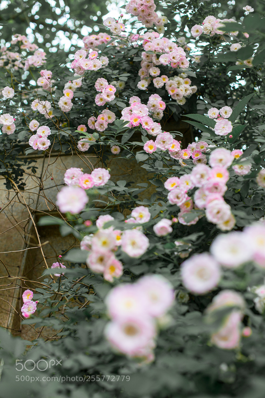 Canon EOS 6D sample photo. Untitled photography