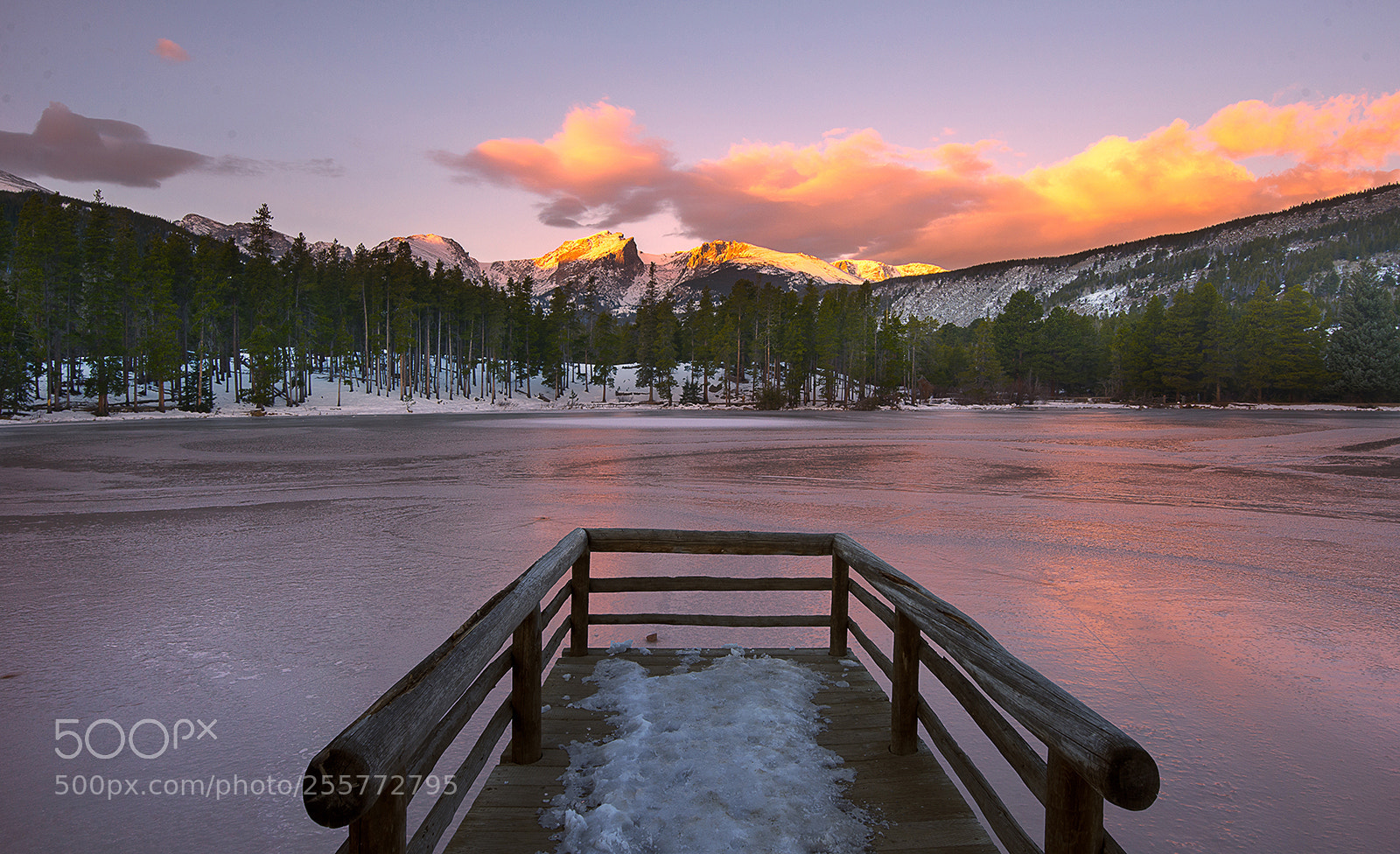Nikon D610 sample photo. Frozen sprague photography