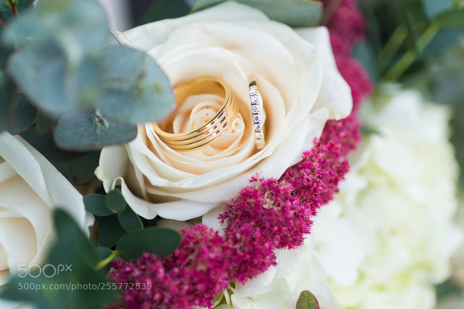 Sony a7R sample photo. Untitled photography
