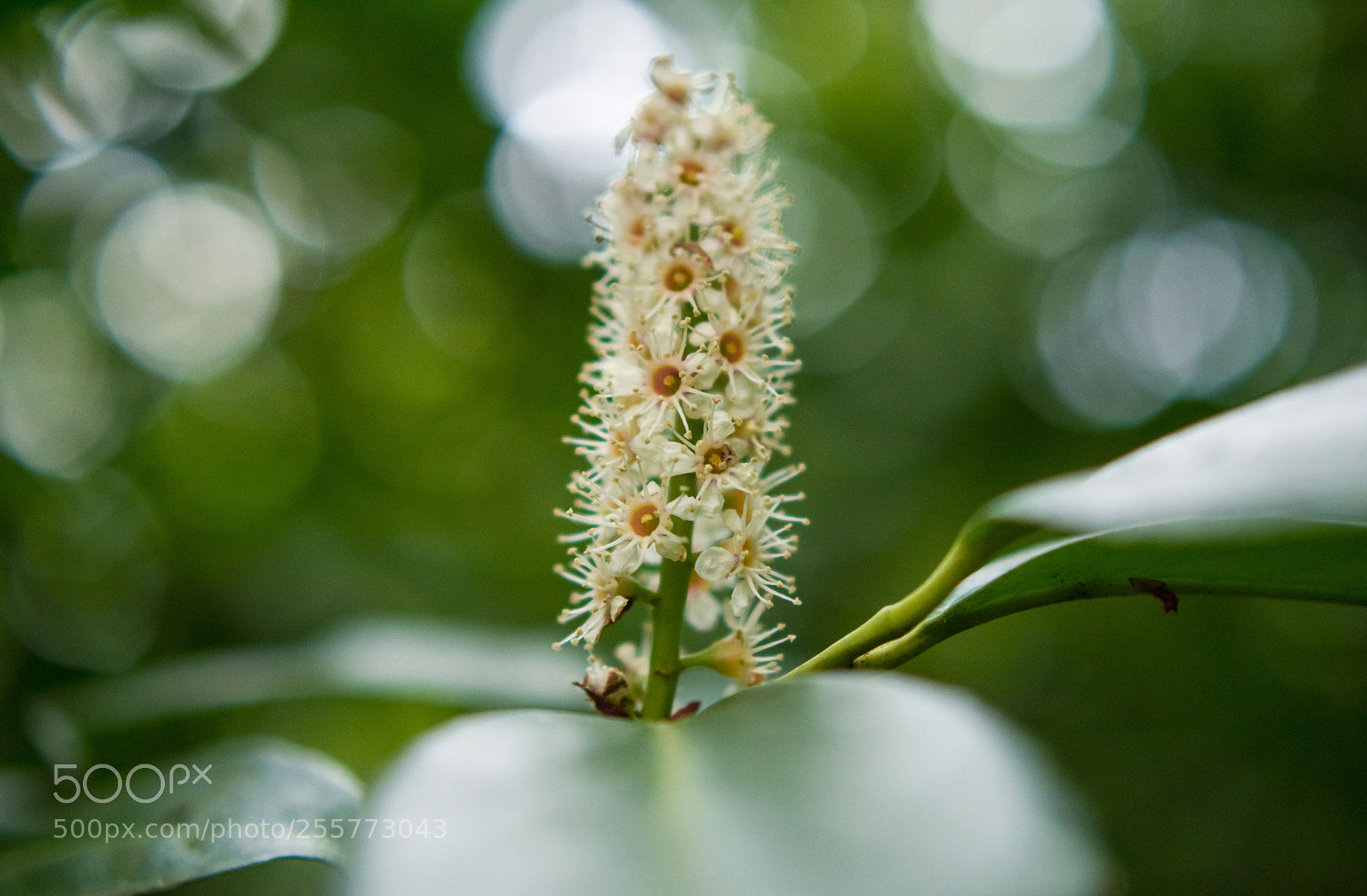 Nikon D3400 sample photo. Untitled photography