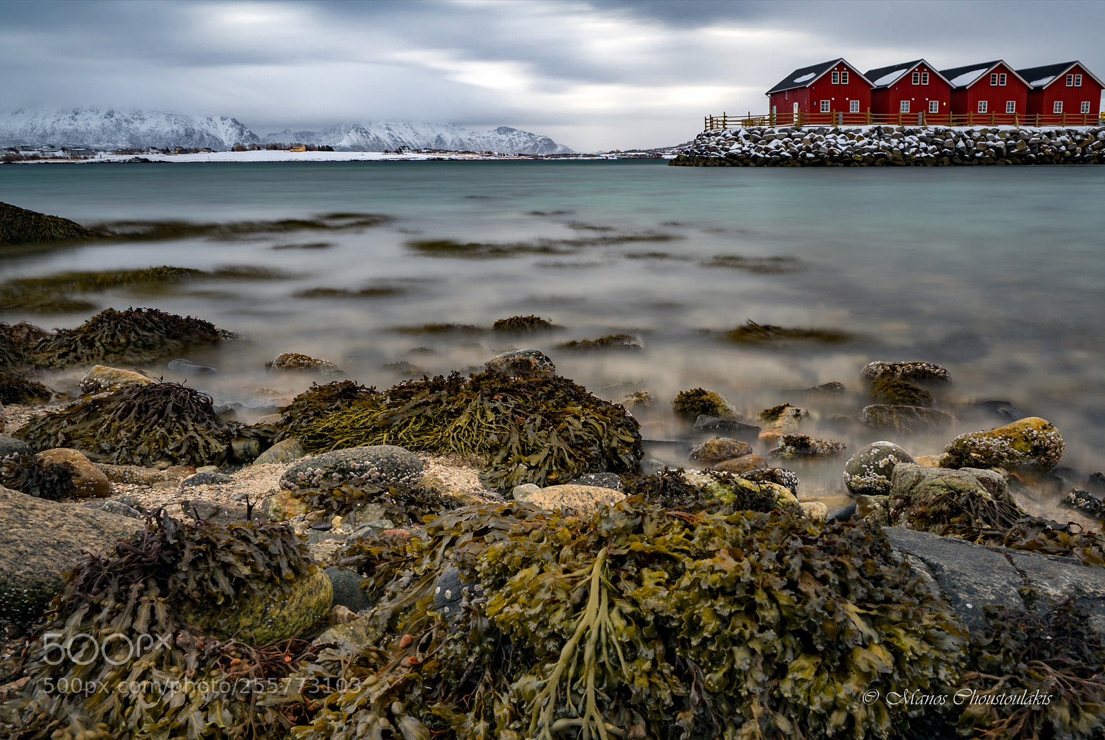 Sony a7 II sample photo. The amazing colors of photography