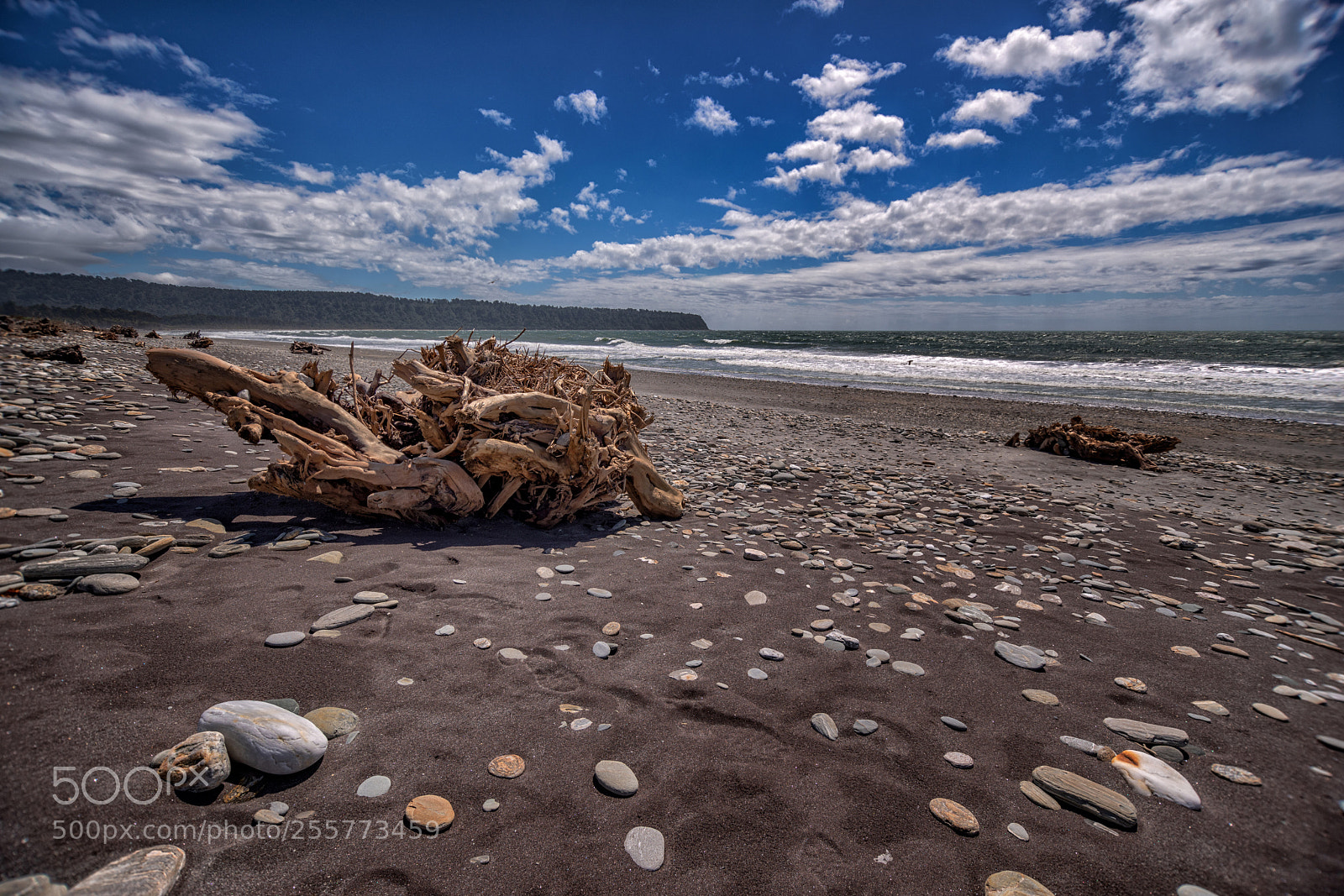 Pentax K-1 sample photo. Sea of roots beach photography