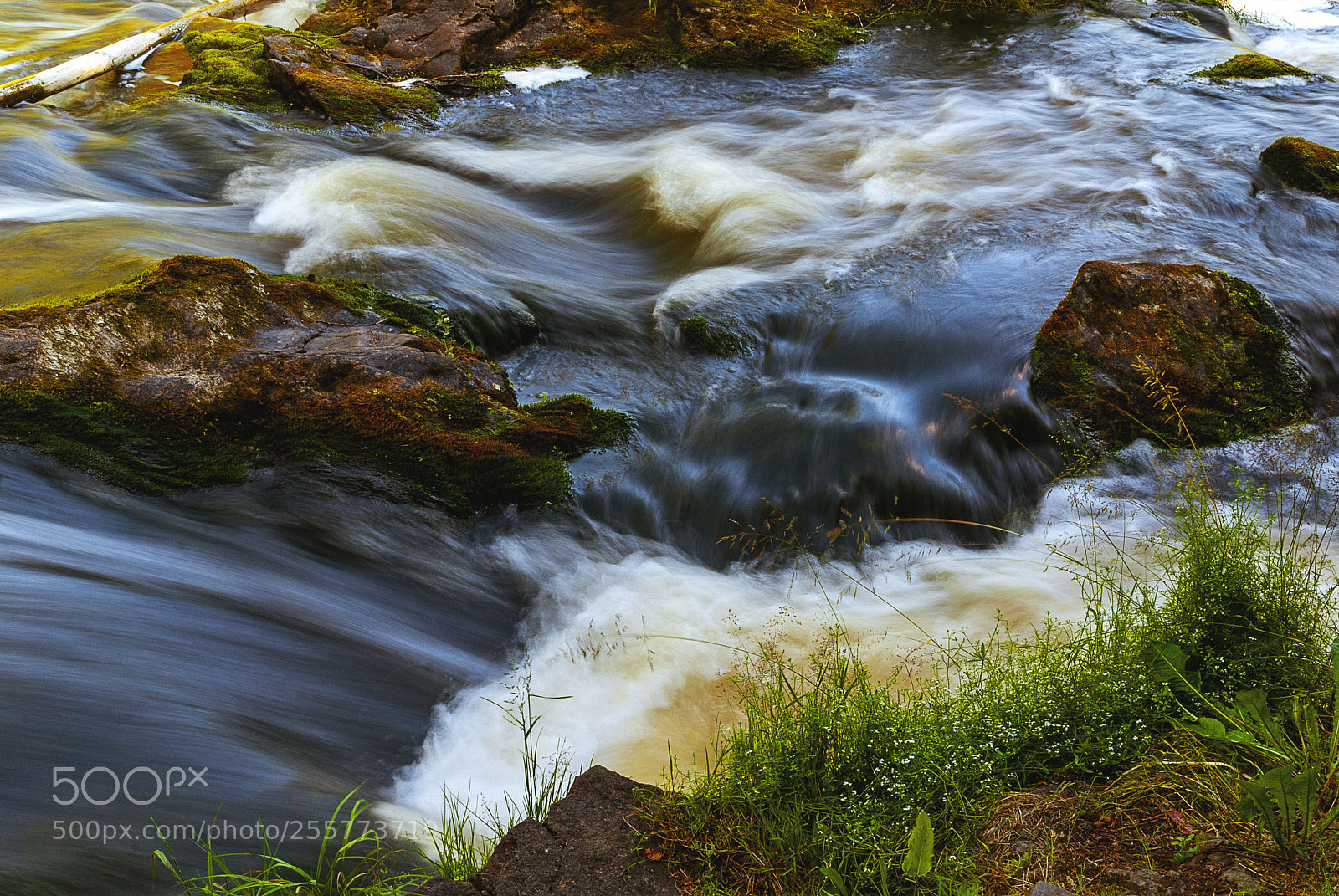 Nikon D80 sample photo. Fresh water photography
