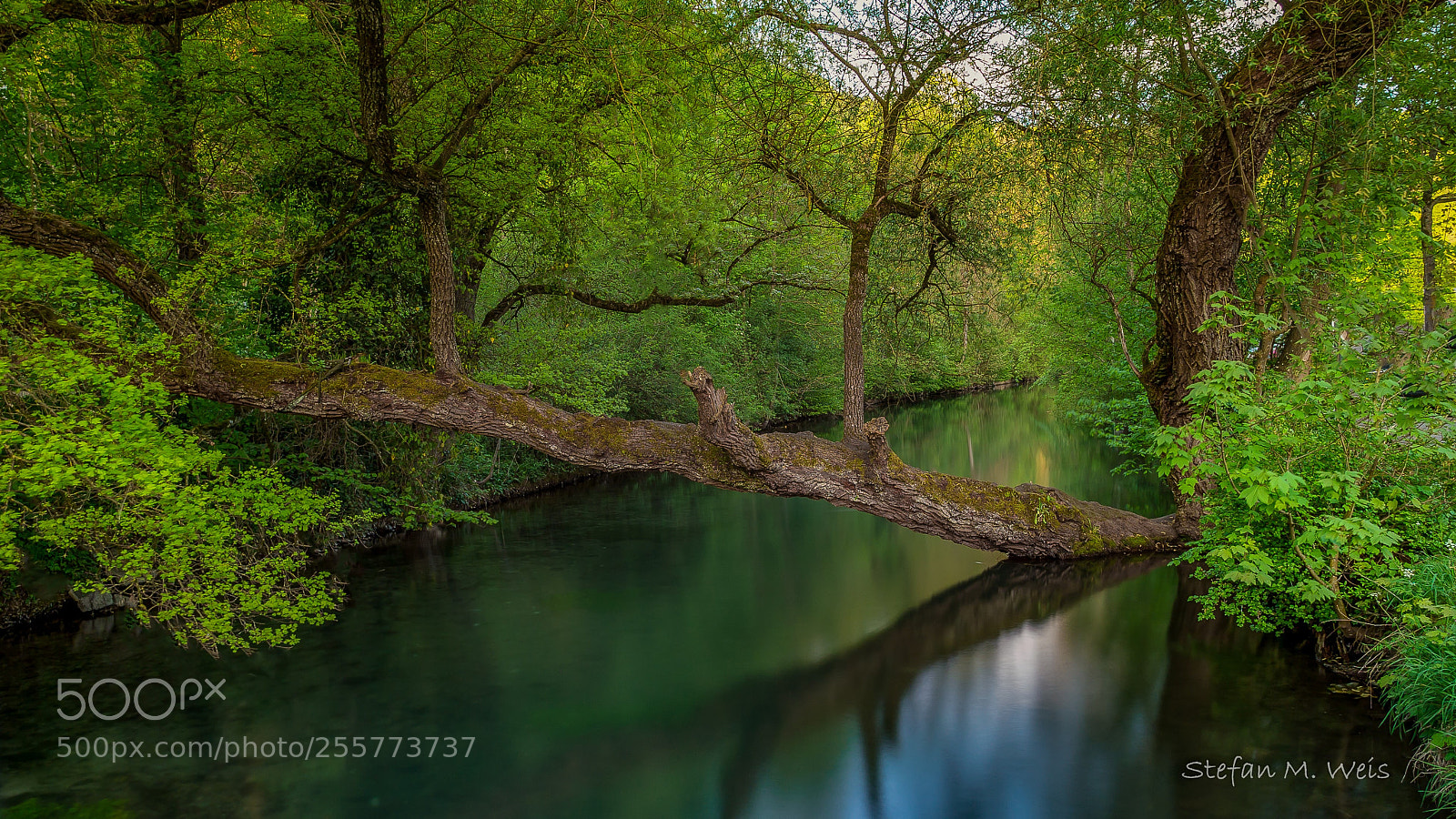 Olympus OM-D E-M10 II sample photo. Little river blau... photography