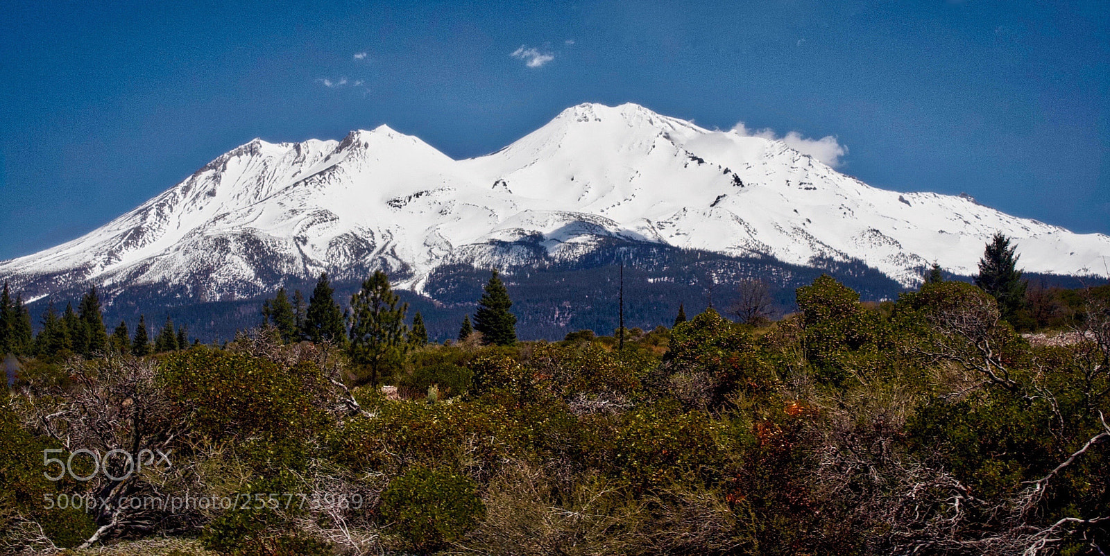 Canon EOS 350D (EOS Digital Rebel XT / EOS Kiss Digital N) sample photo. Mt shasta photography