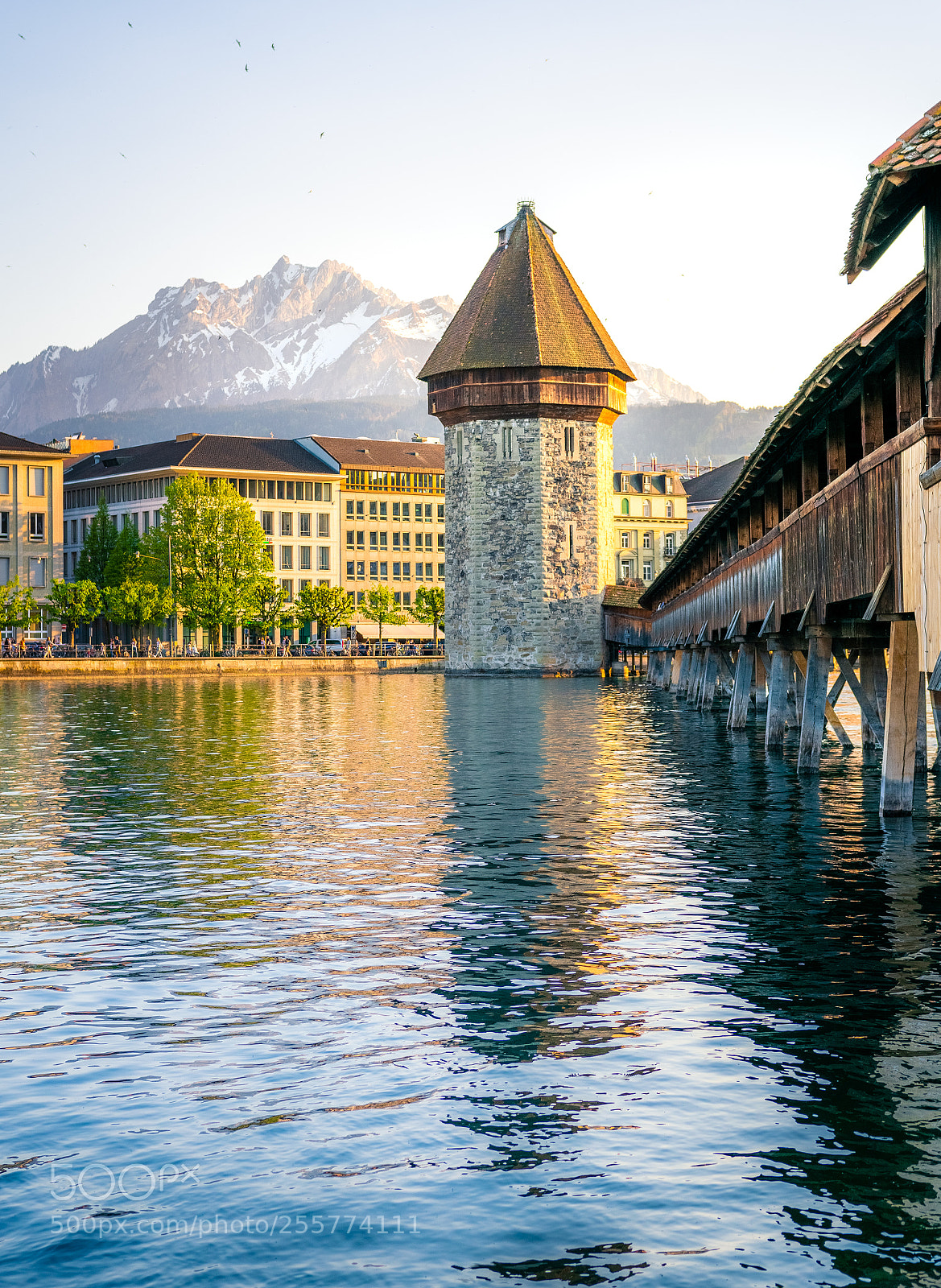 Nikon D3400 sample photo. Spring time in lucerne photography