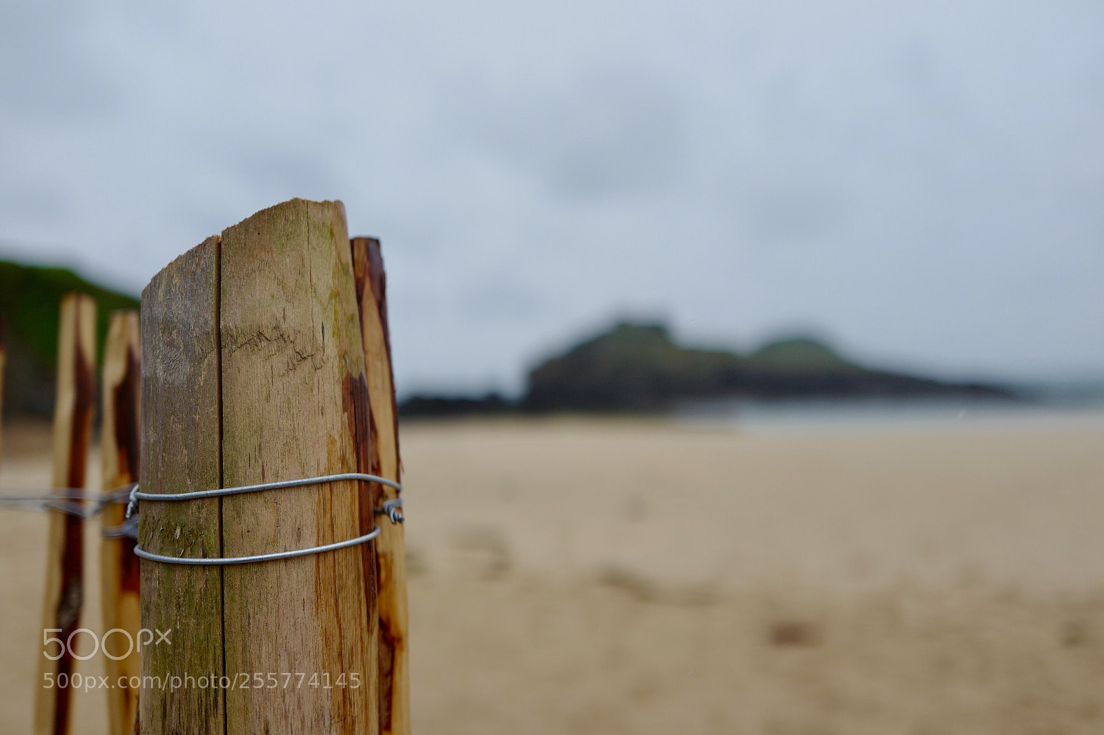 Leica Q (Typ 116) sample photo. Untitled photography