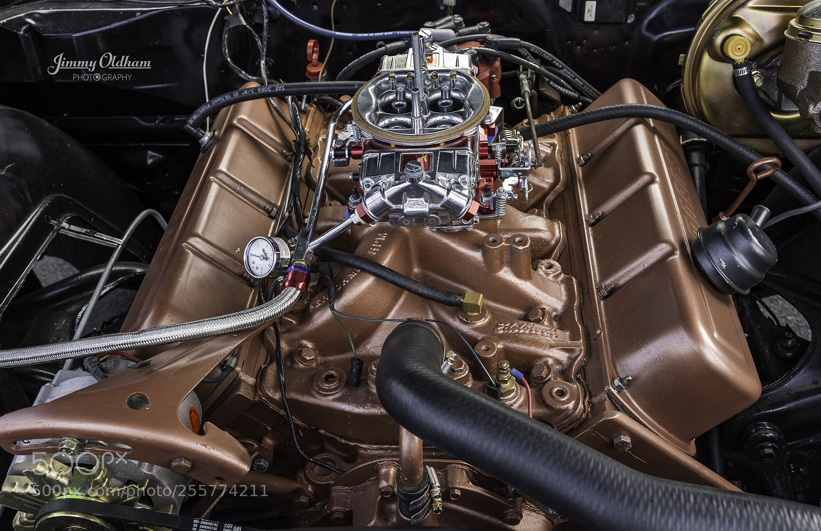 Nikon D7200 sample photo. 442.jpg photography