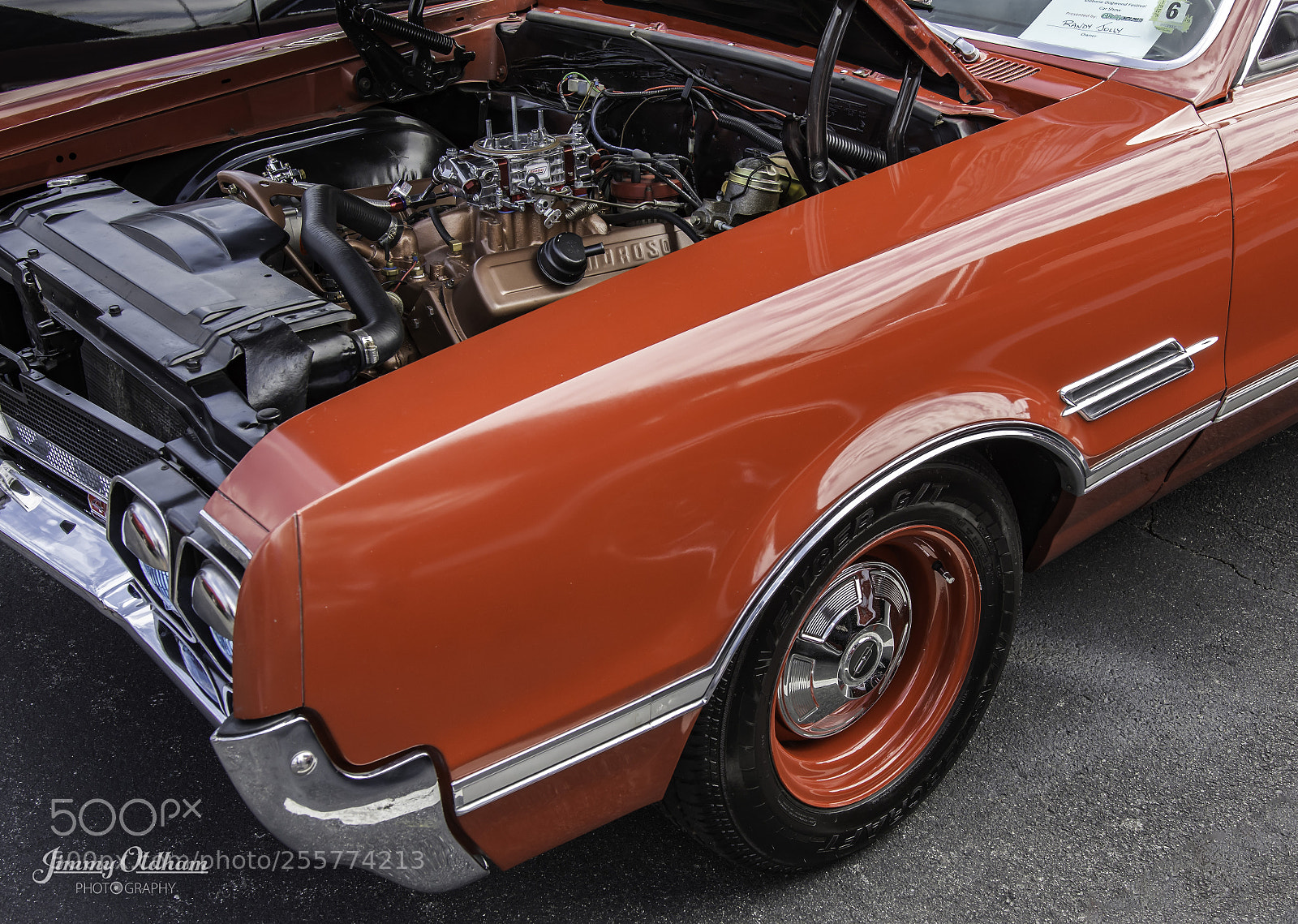 Nikon D7200 sample photo. 442-1.jpg photography