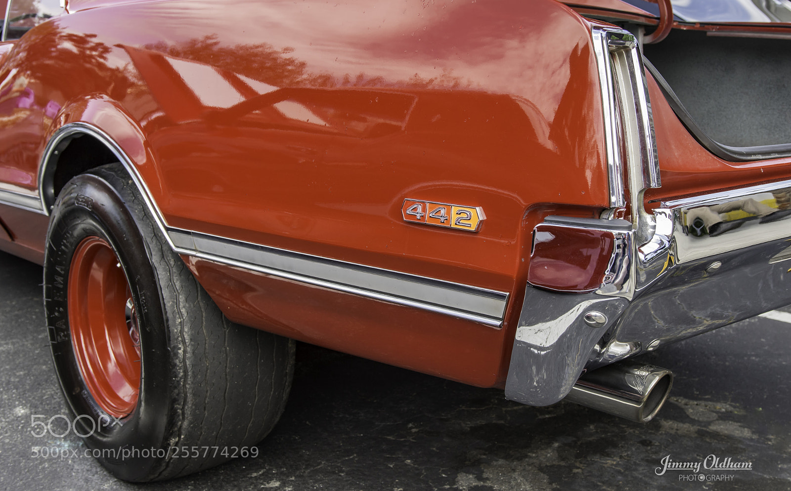 Nikon D7200 sample photo. 442-2.jpg photography