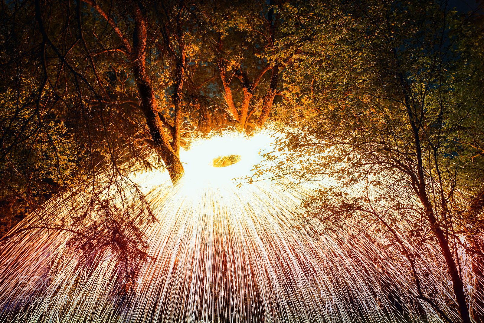 Sony SLT-A77 sample photo. Fireburst photography