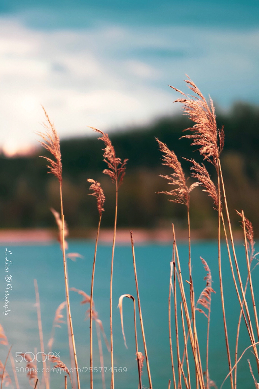Canon EOS 6D Mark II sample photo. At horizon 118 photography