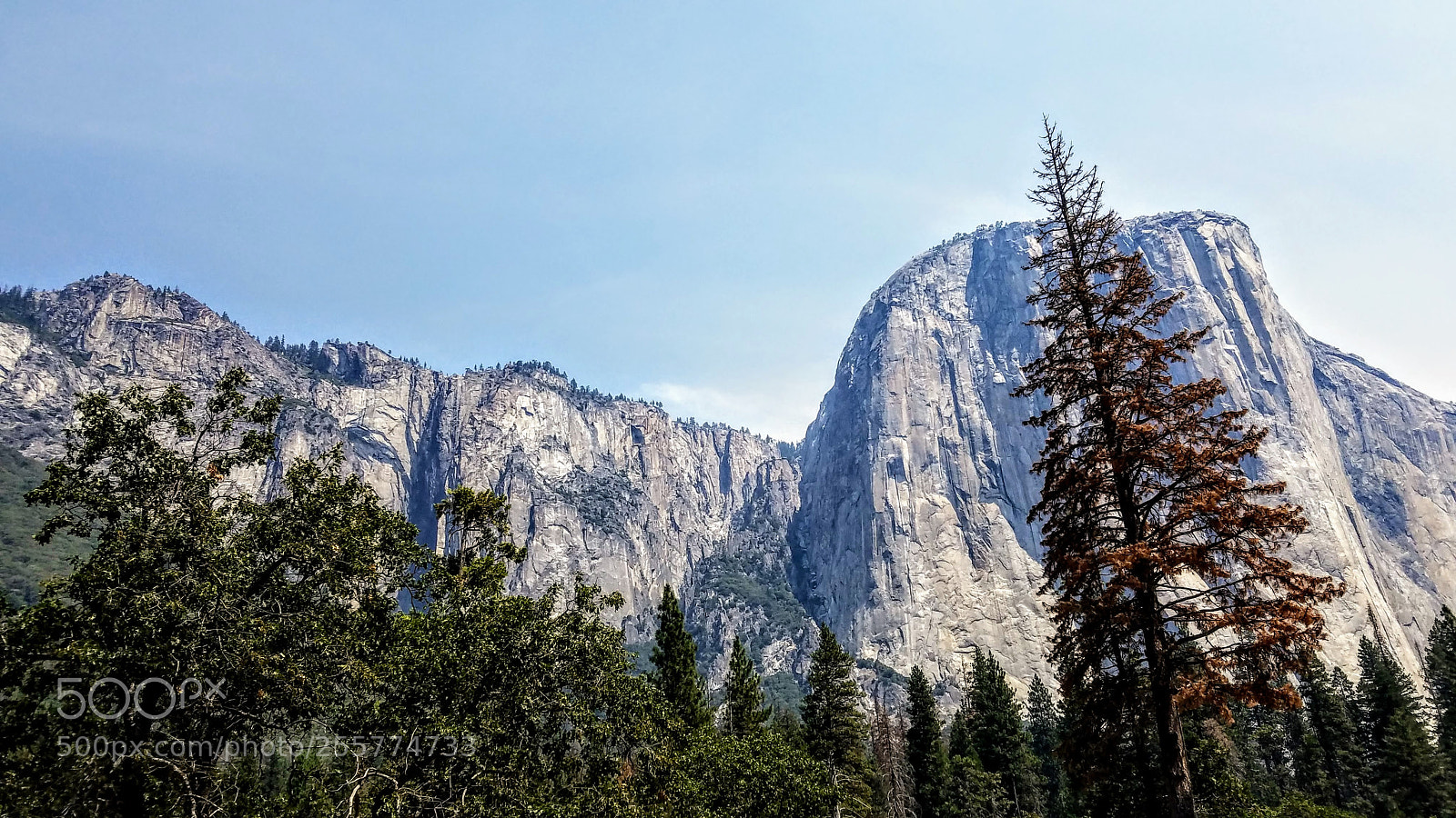Samsung Galaxy S7 Edge sample photo. Yosemite base photography